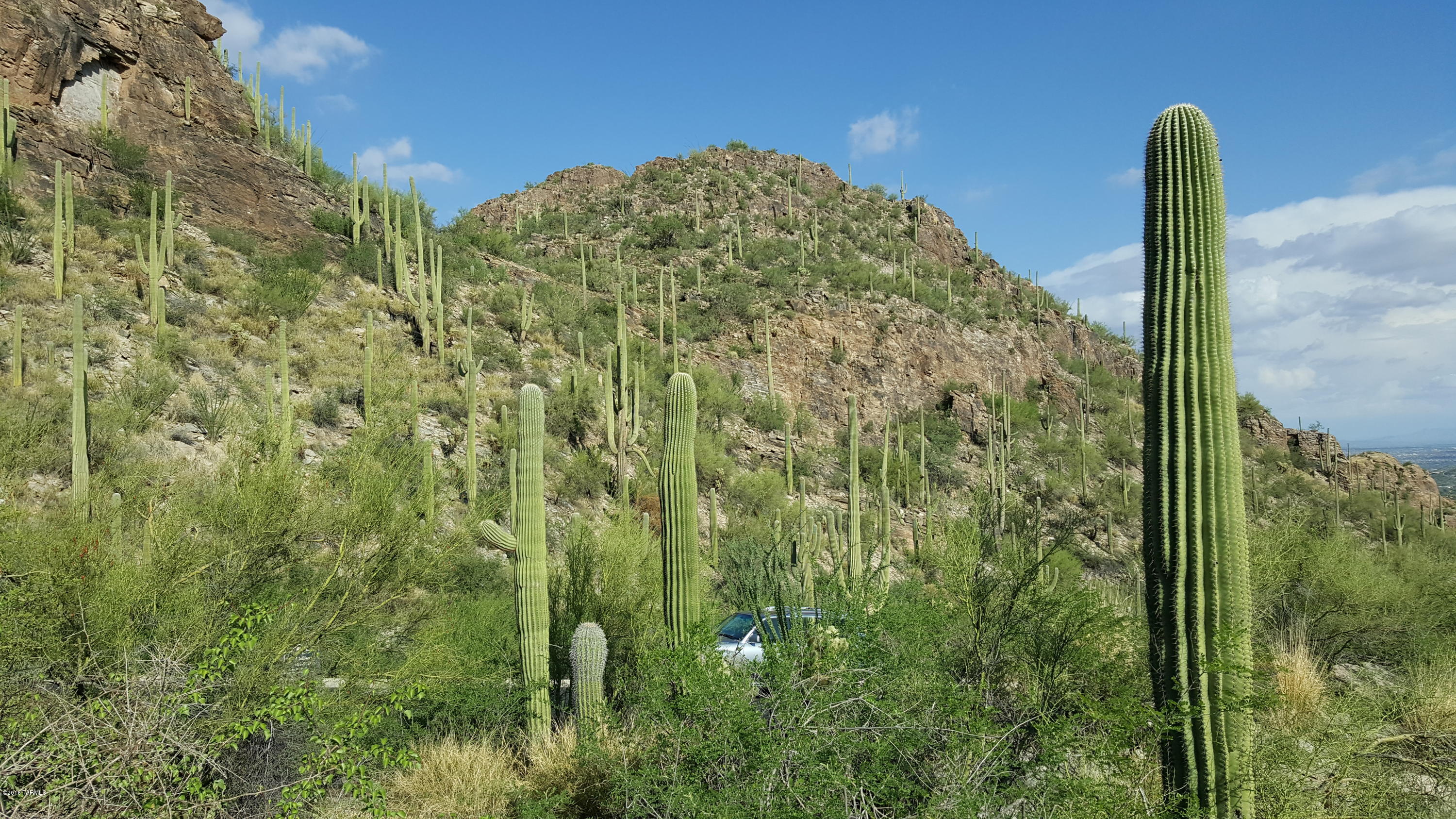 Ventana Canyon Mountain Estate (1-73) - Land