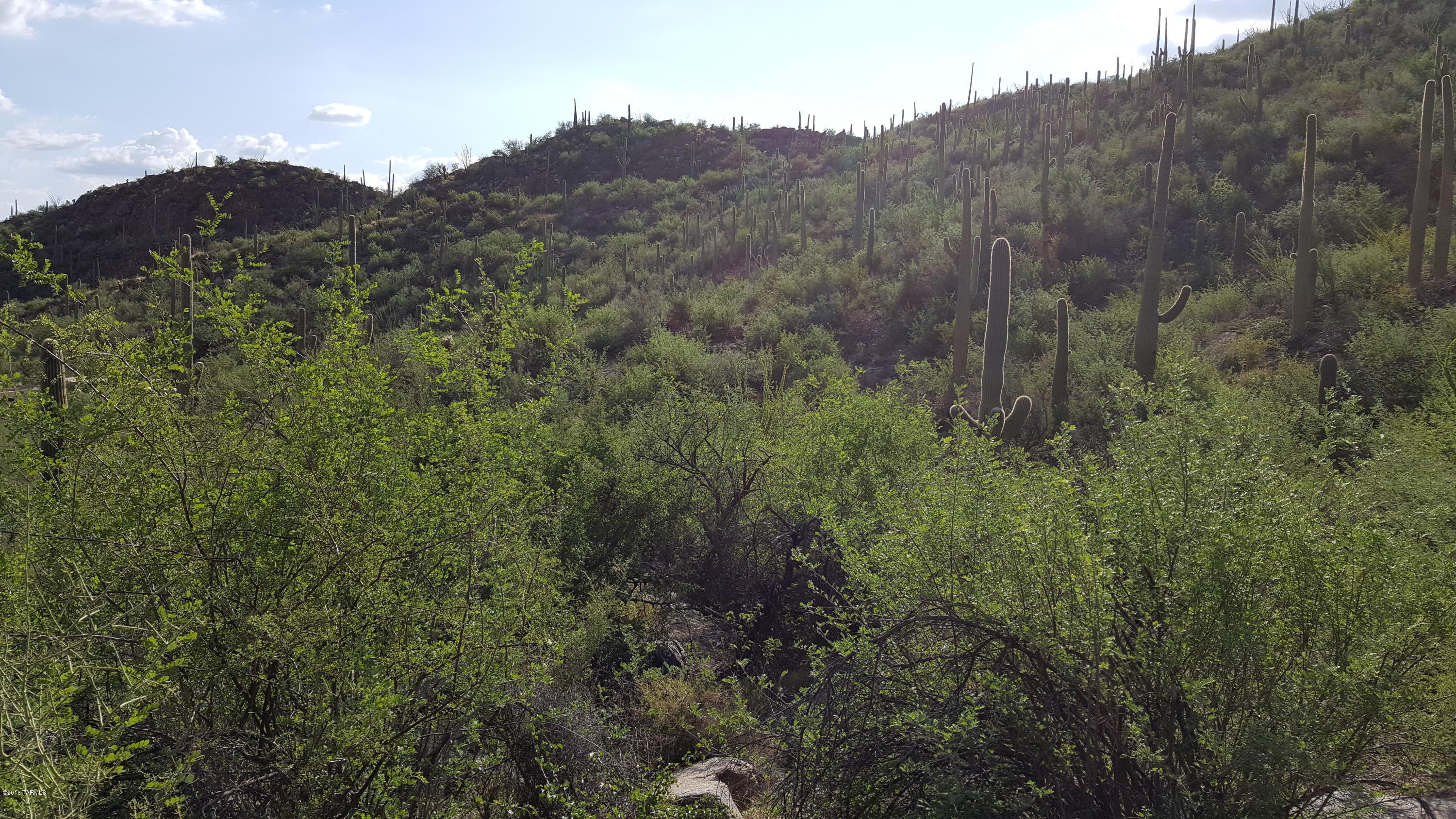 Ventana Canyon Mountain Estate (1-73) - Land