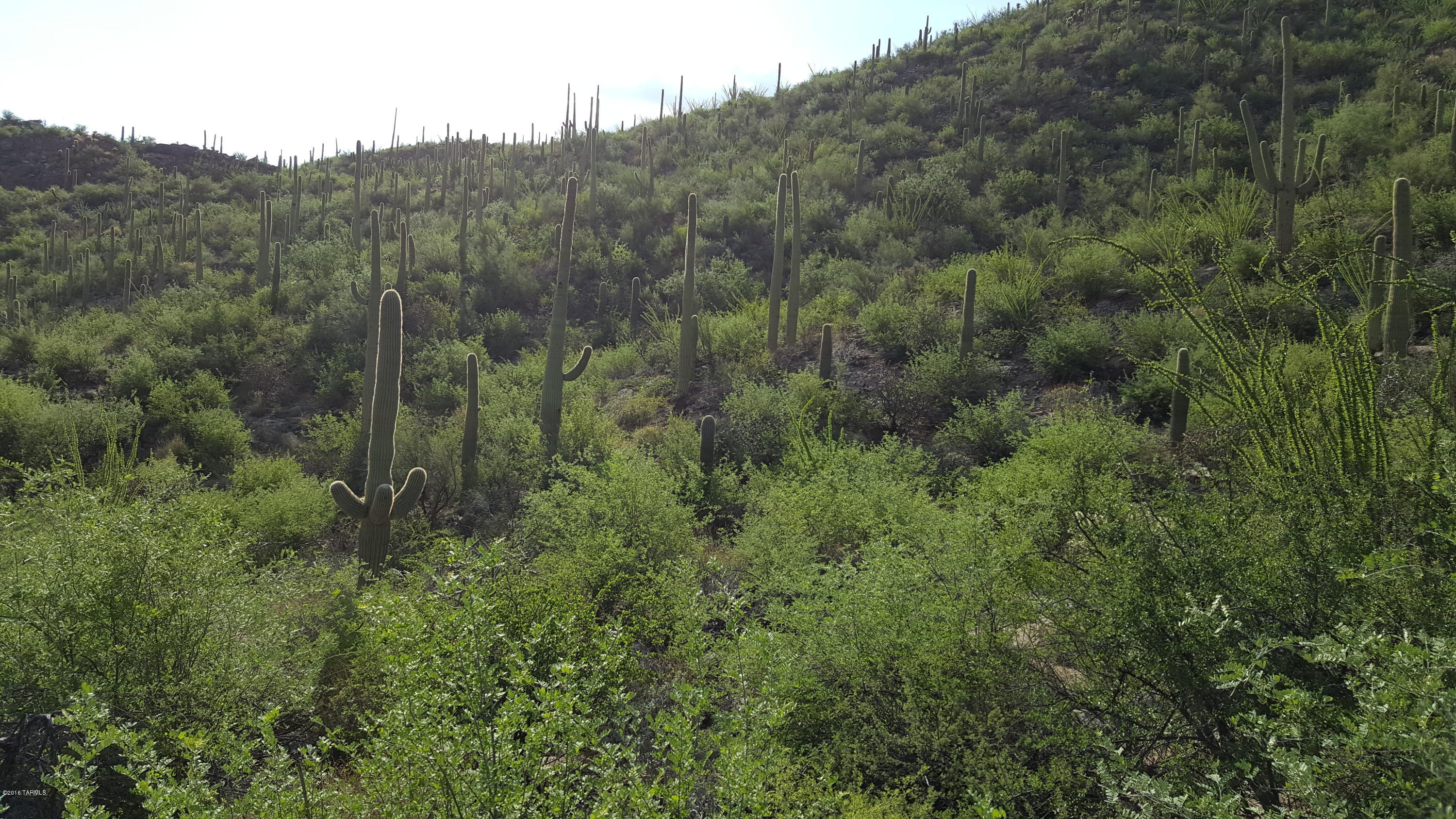 Ventana Canyon Mountain Estate (1-73) - Land