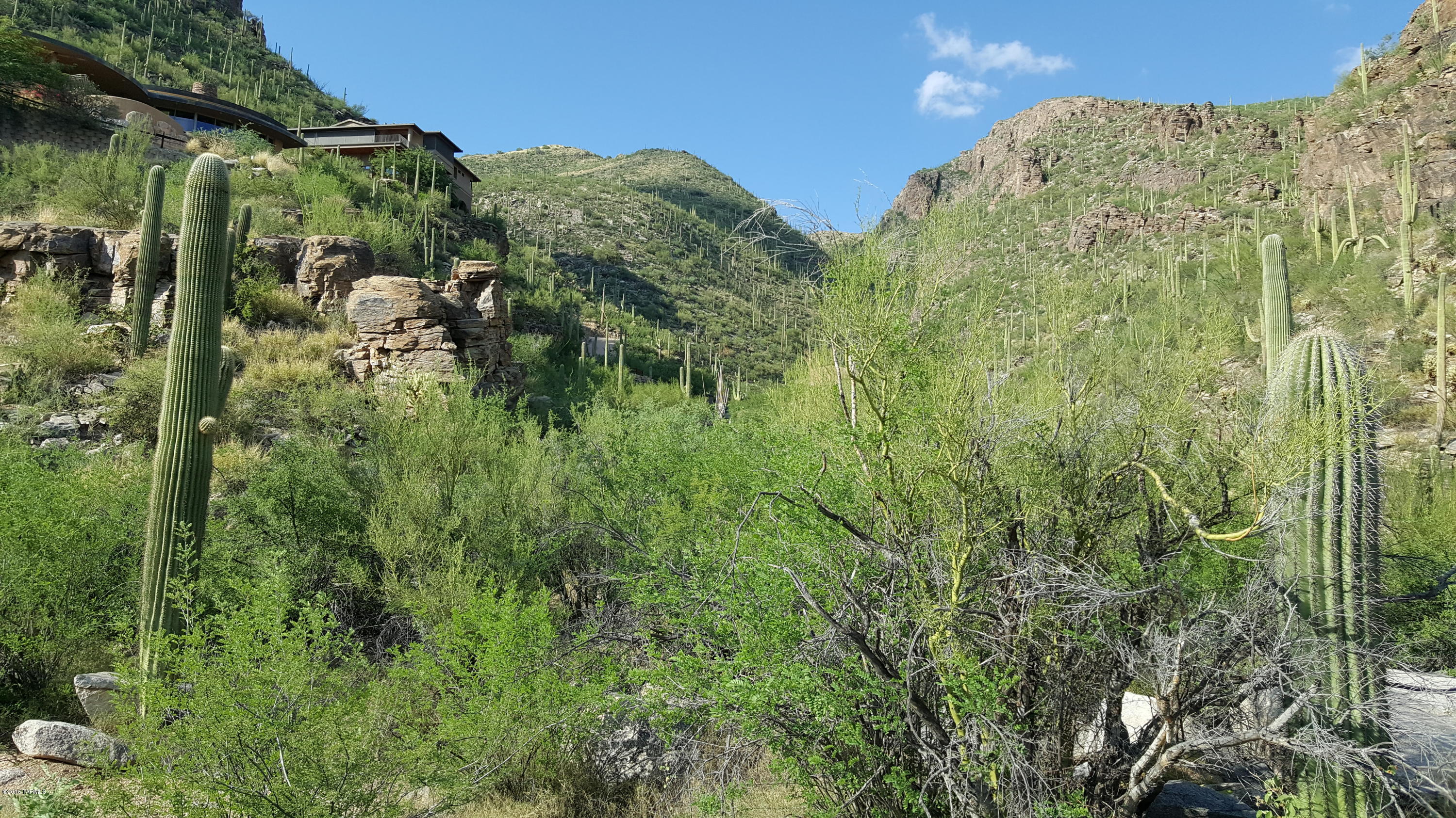 Ventana Canyon Mountain Estate (1-73) - Land