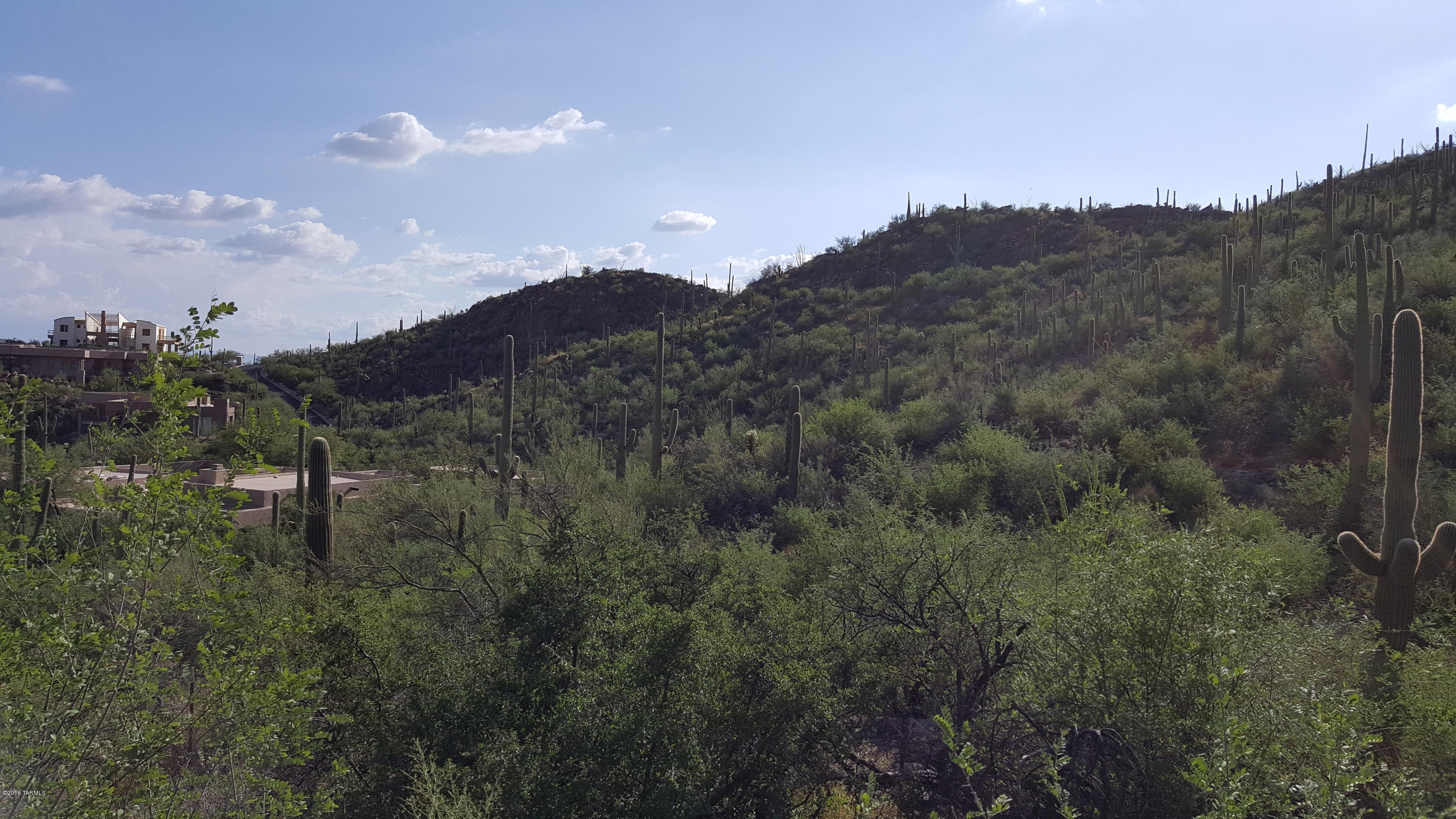 Ventana Canyon Mountain Estate (1-73) - Land