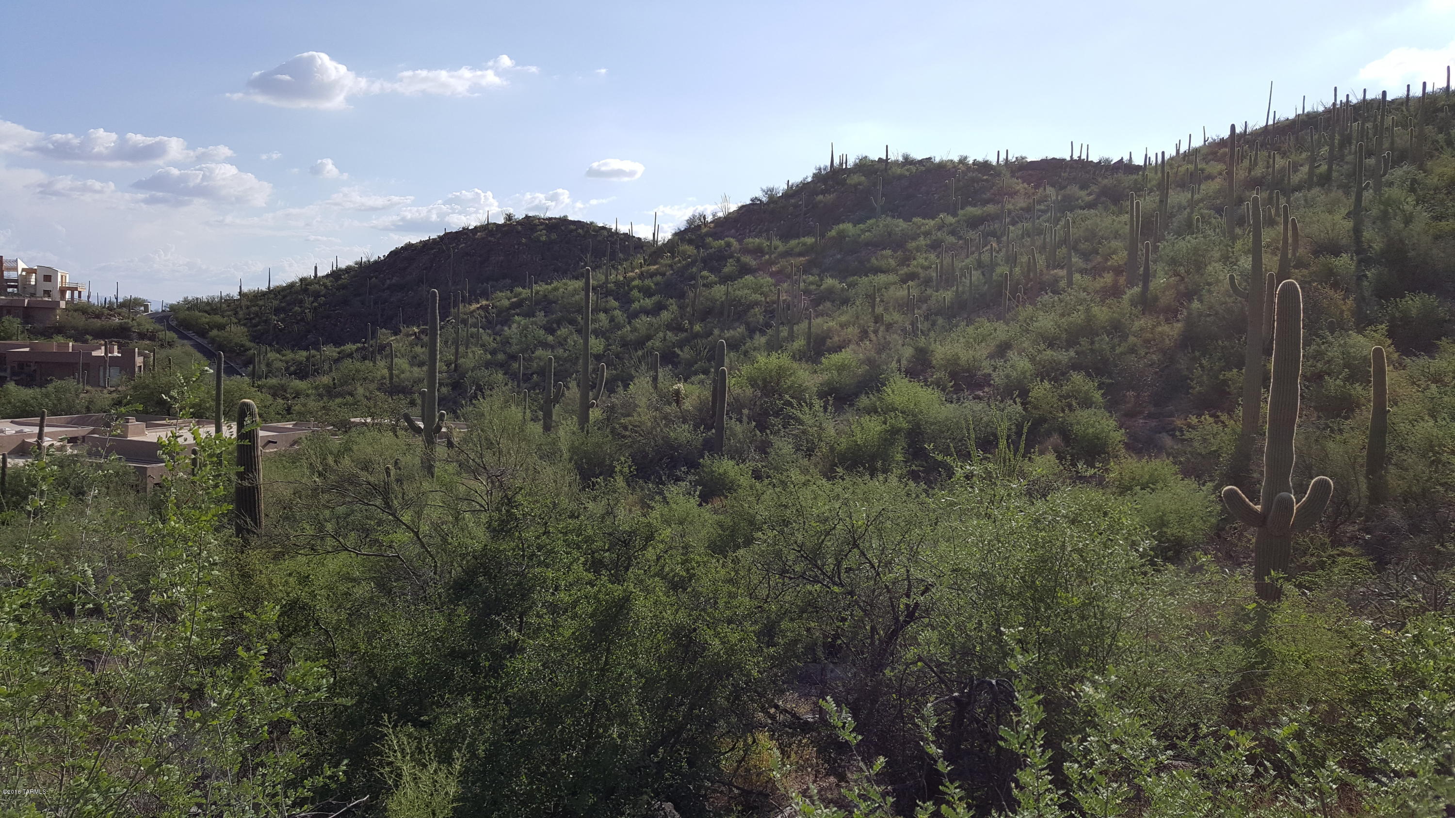 Ventana Canyon Mountain Estate (1-73) - Land