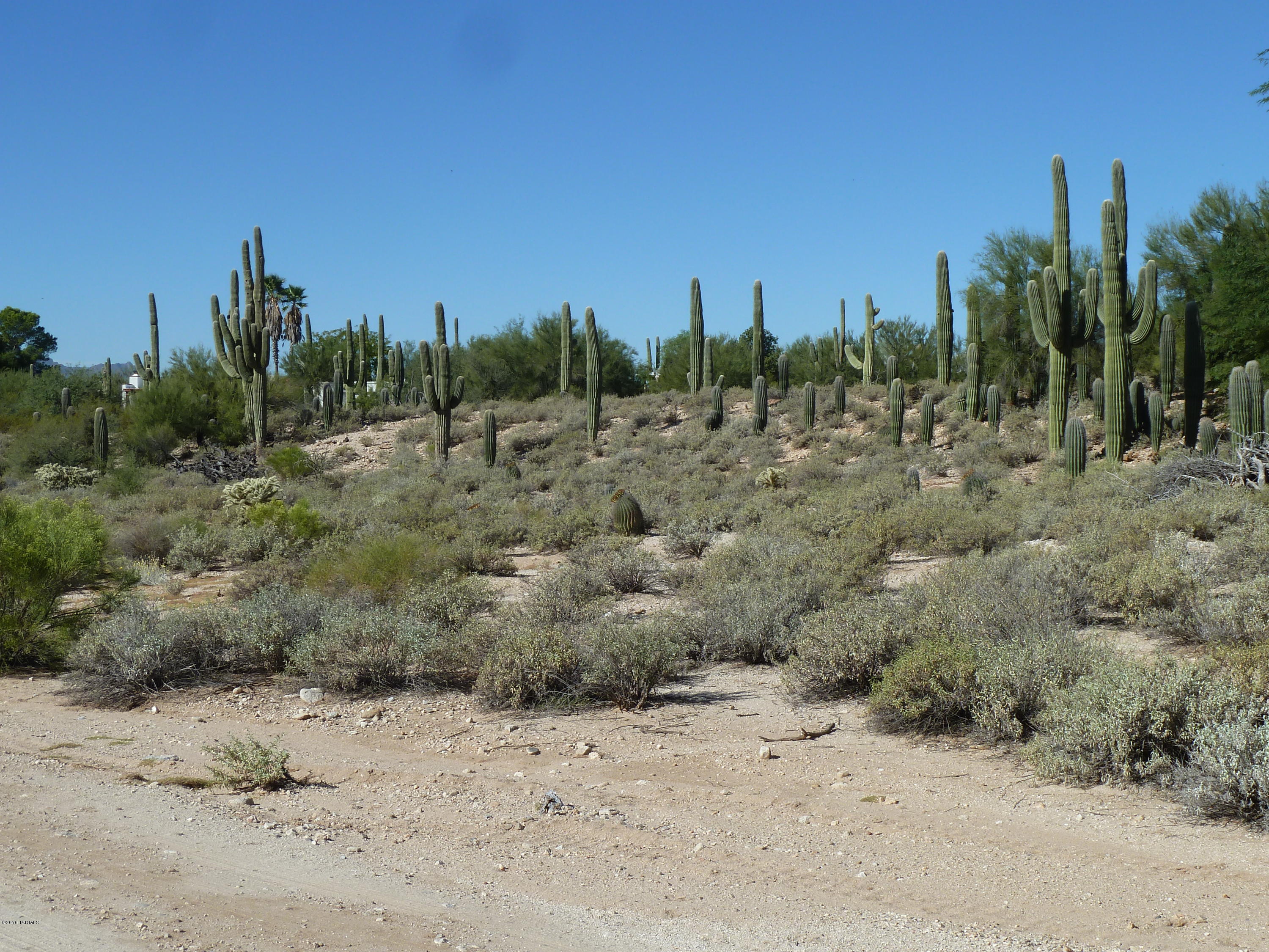 Discover Acre+ of Prime Foothills property Stuning views of Catalinas Tucked away in Cul de Sac street Surrounded with beautiful custom hones Highly desirable area Hard to find close in acre lot
