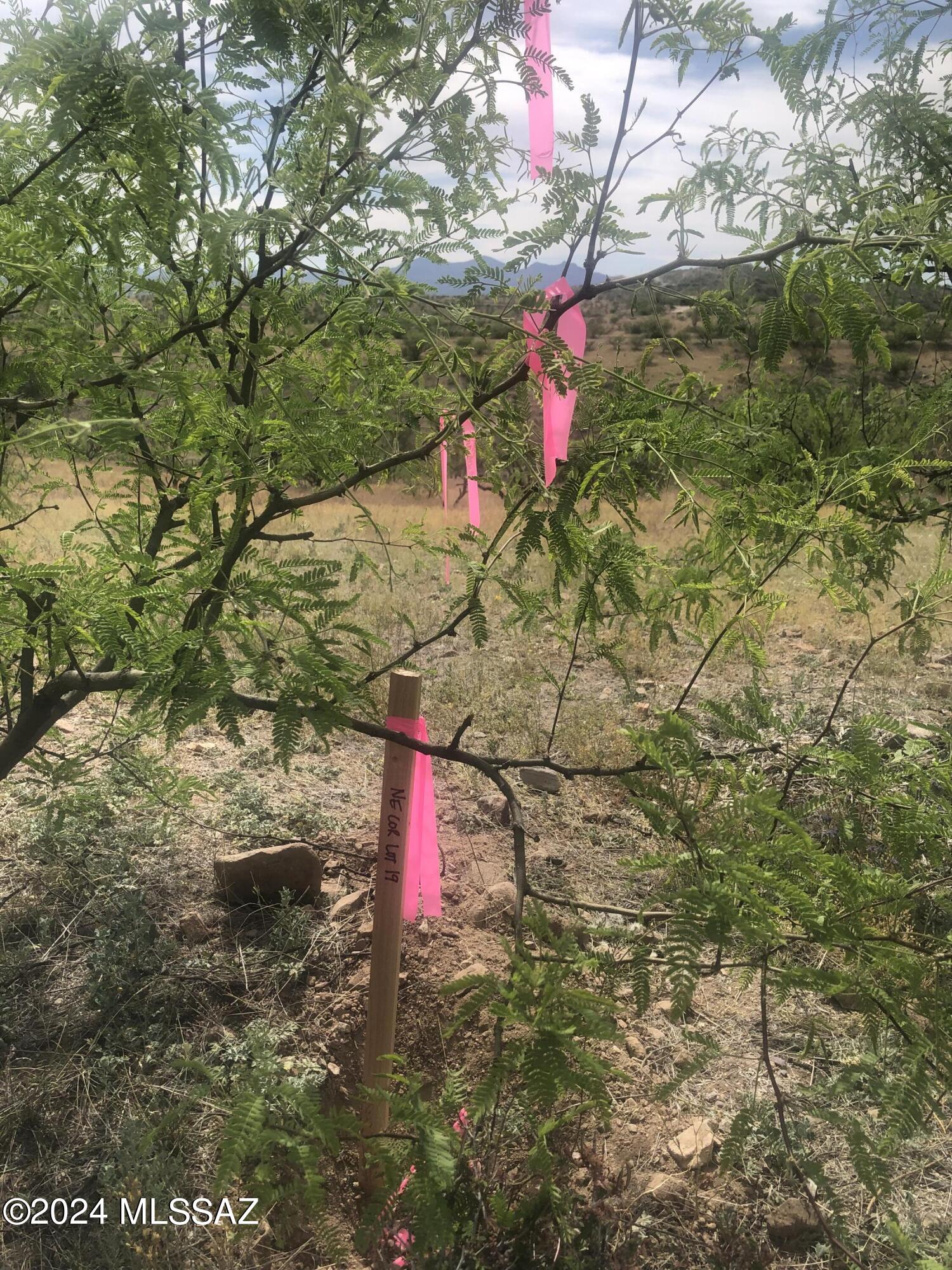 Rio Rico Ranchettes - Land