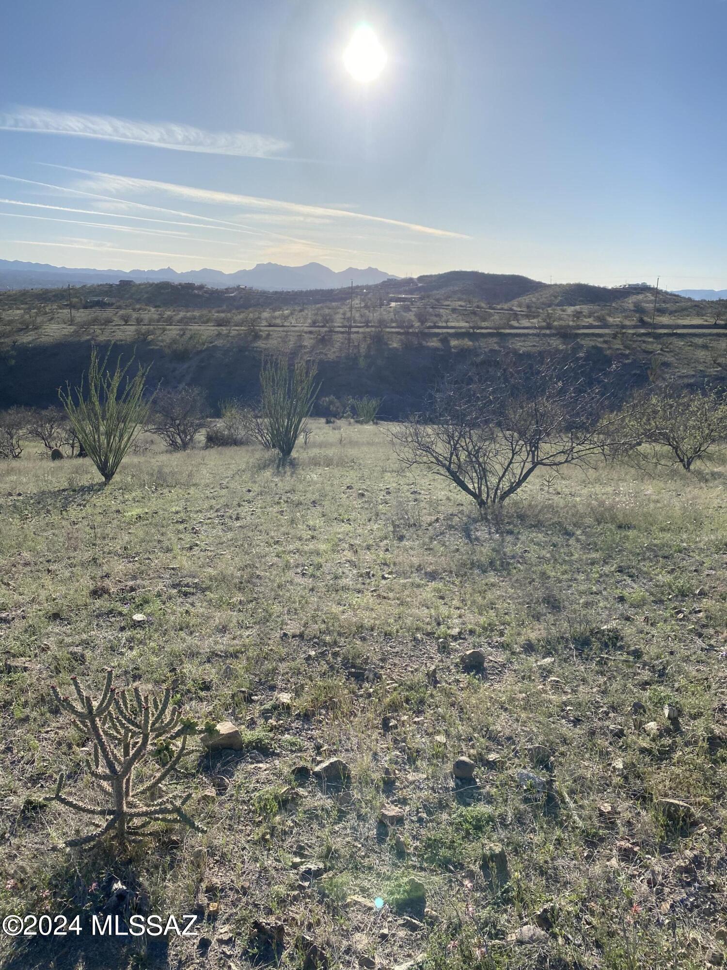 Rio Rico Ranchettes - Land