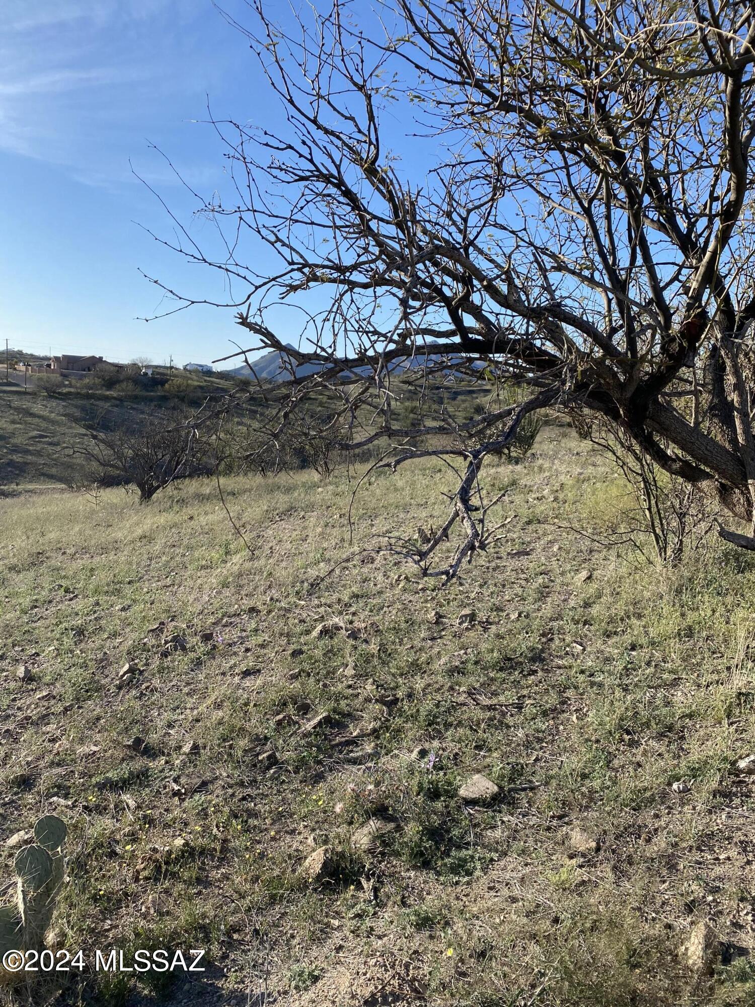 Rio Rico Ranchettes - Land