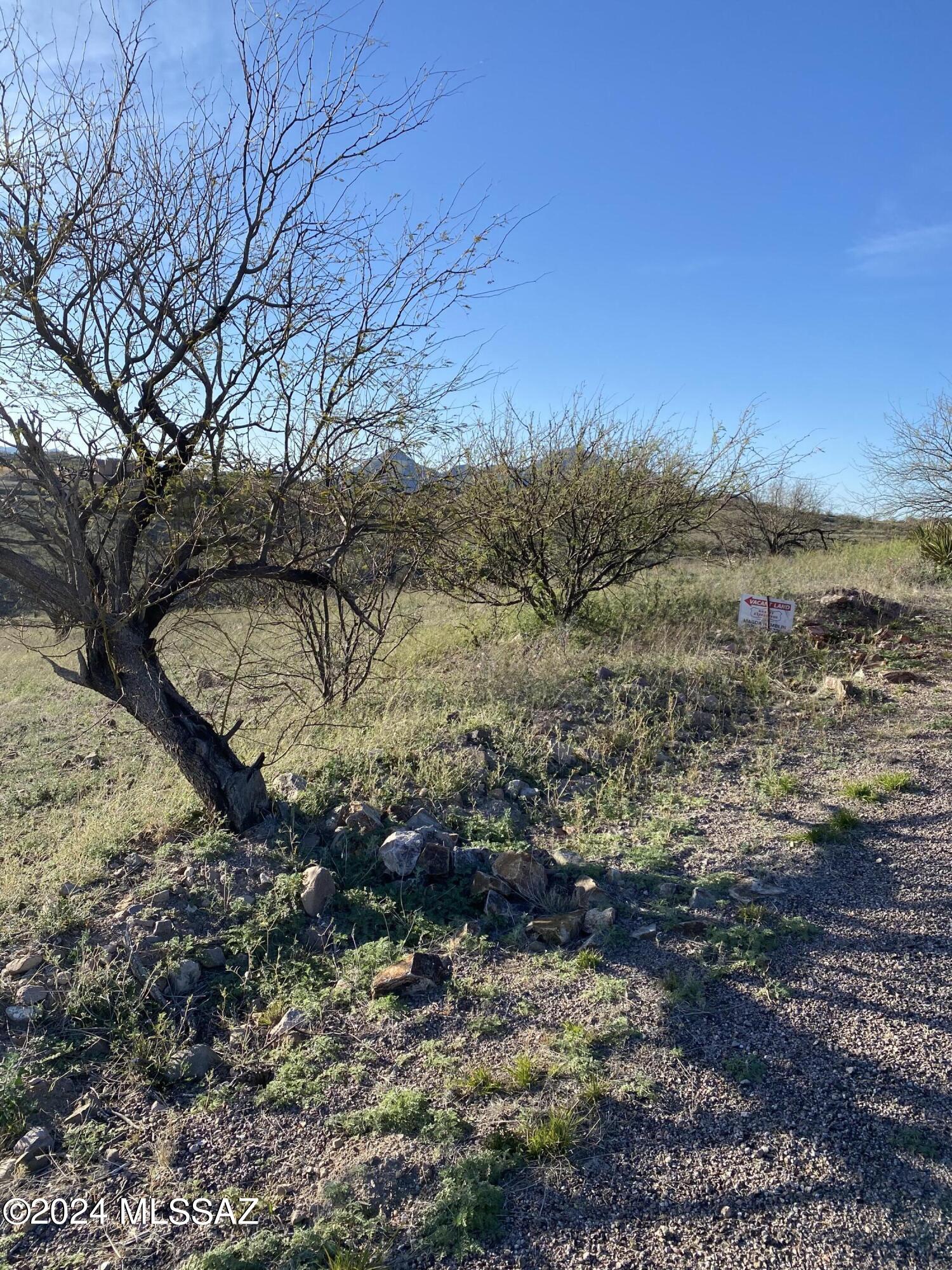 Rio Rico Ranchettes - Land