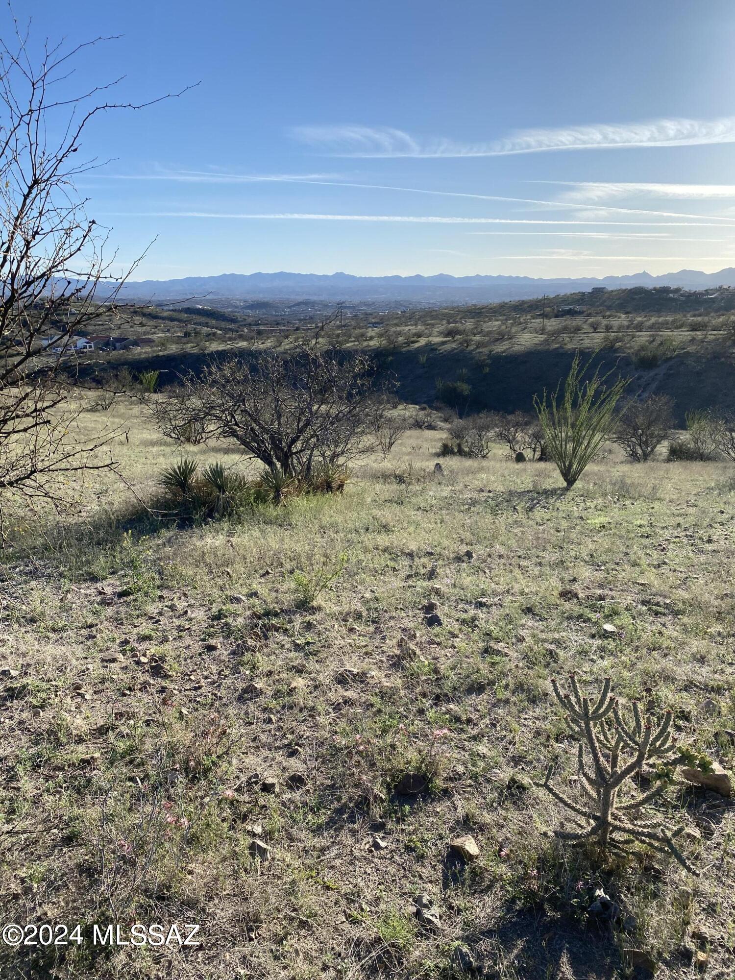 Rio Rico Ranchettes - Land