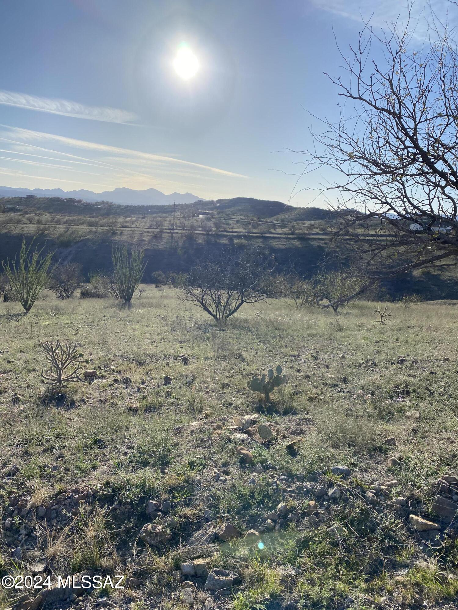 Rio Rico Ranchettes - Land