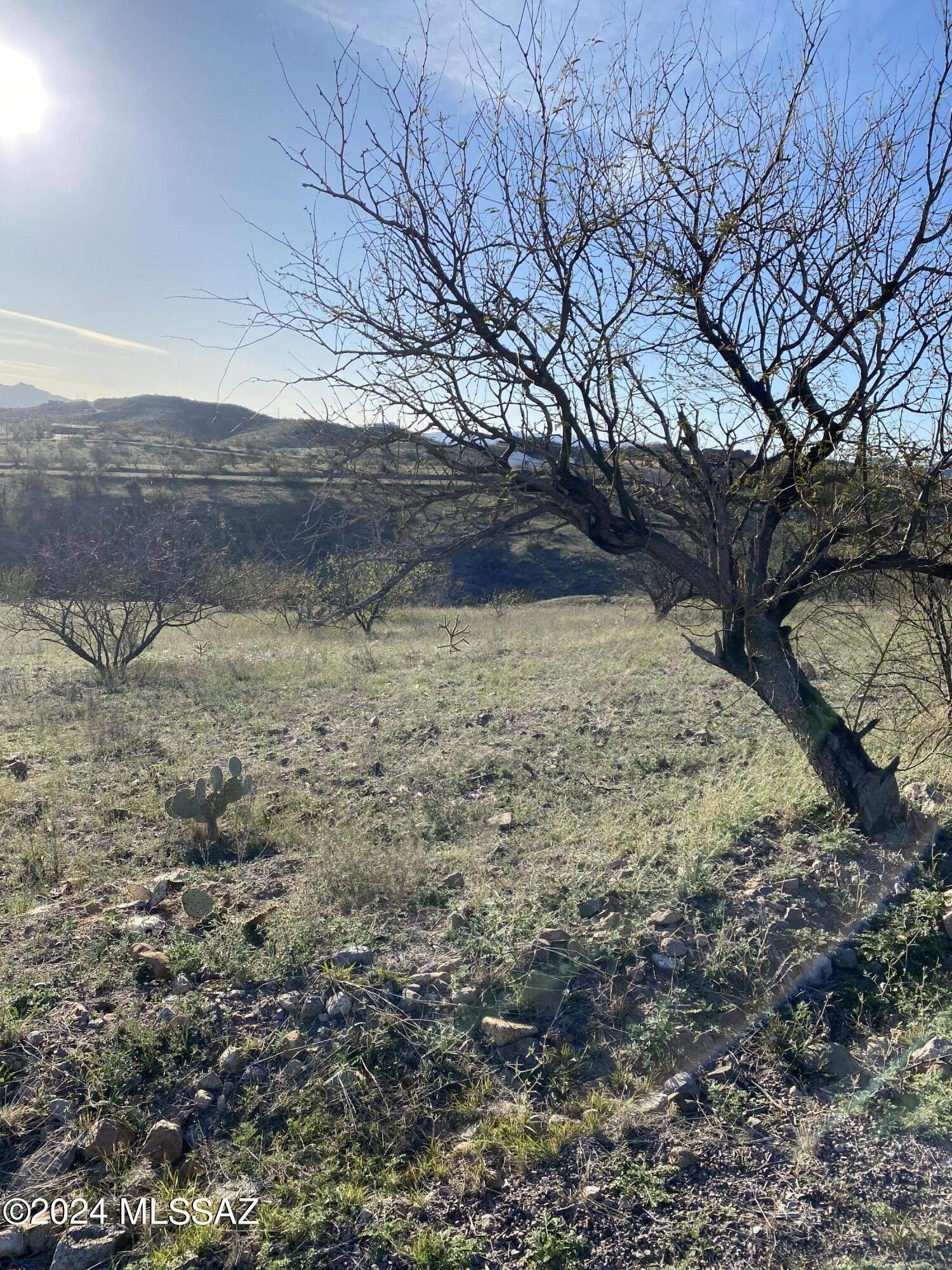 Rio Rico Ranchettes - Land