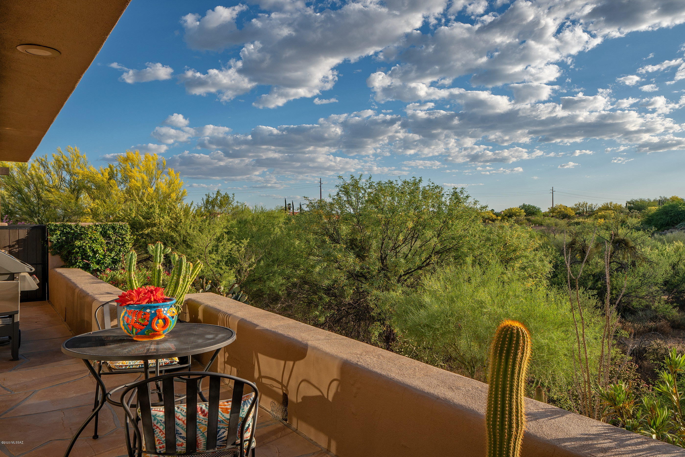 Coyote Ridge (1-109) - Residential