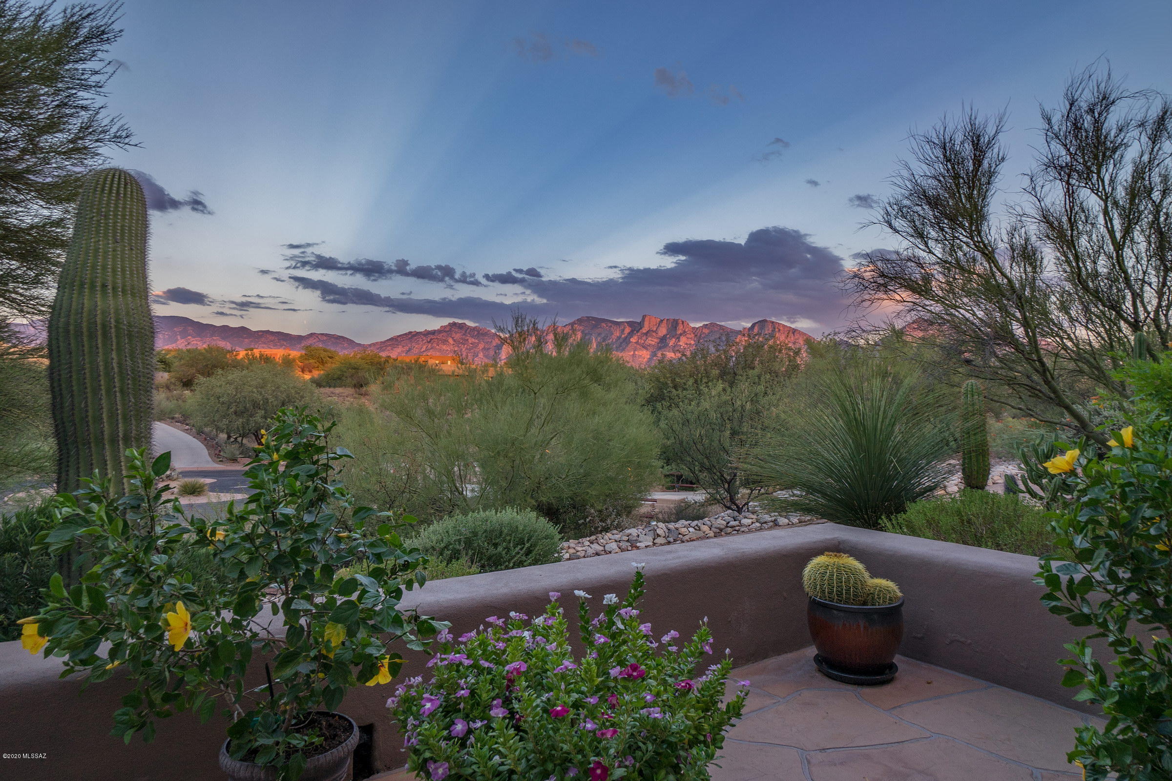 Coyote Ridge (1-109) - Residential