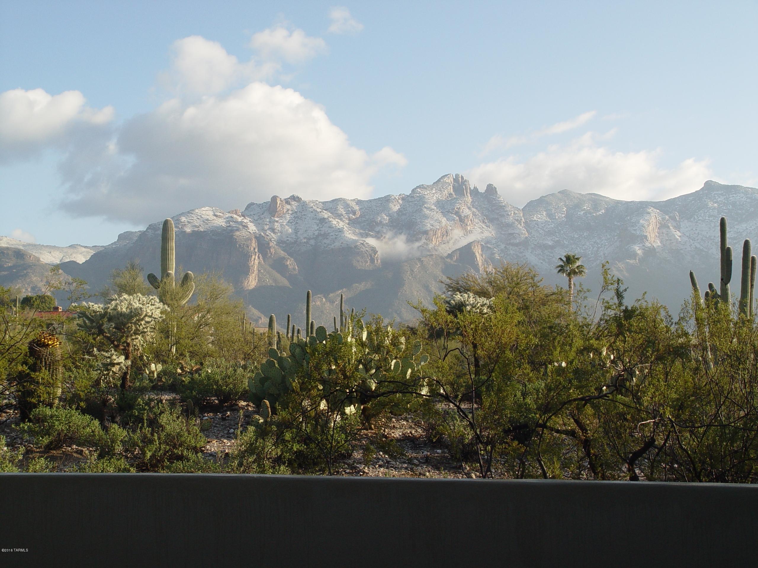 Catalina Foothills Estates NO. 6 (1-54) - Land