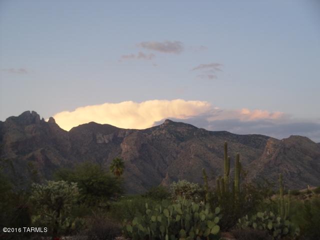 Catalina Foothills Estates NO. 6 (1-54) - Land