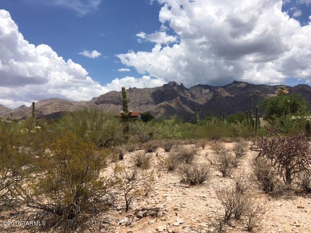 Catalina Foothills Estates NO. 6 (1-54) - Land