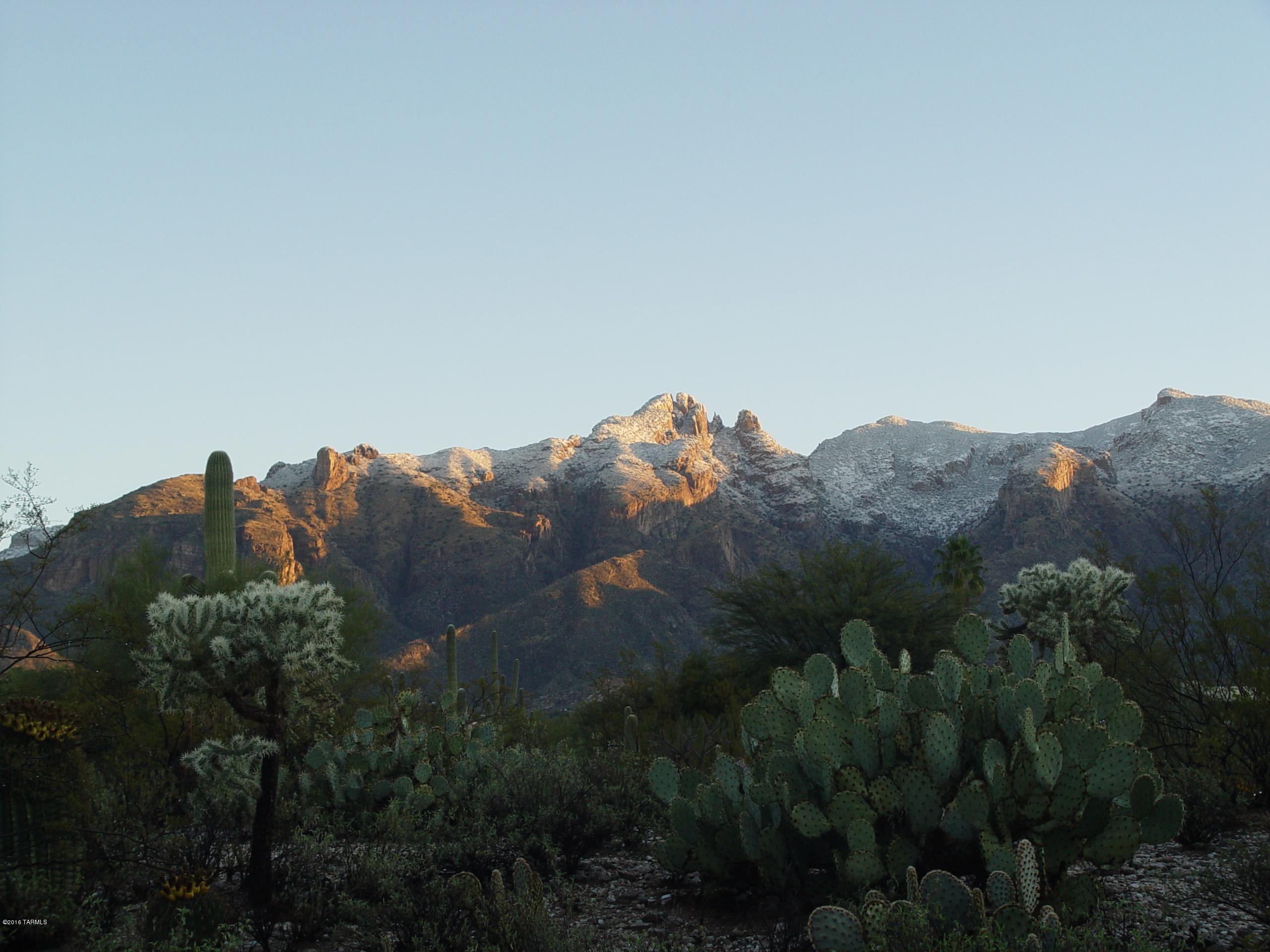 Catalina Foothills Estates NO. 6 (1-54) - Land