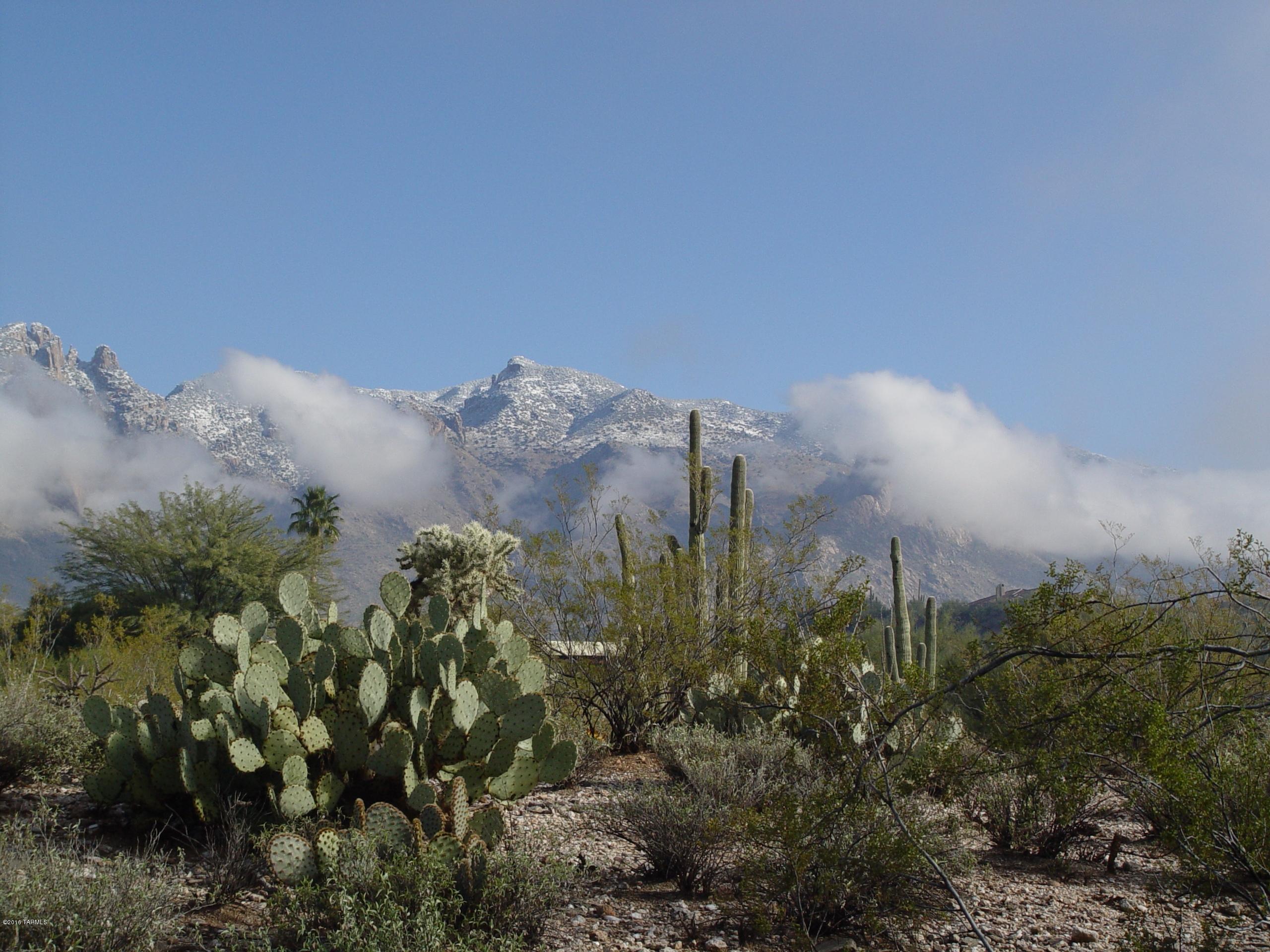 Catalina Foothills Estates NO. 6 (1-54) - Land