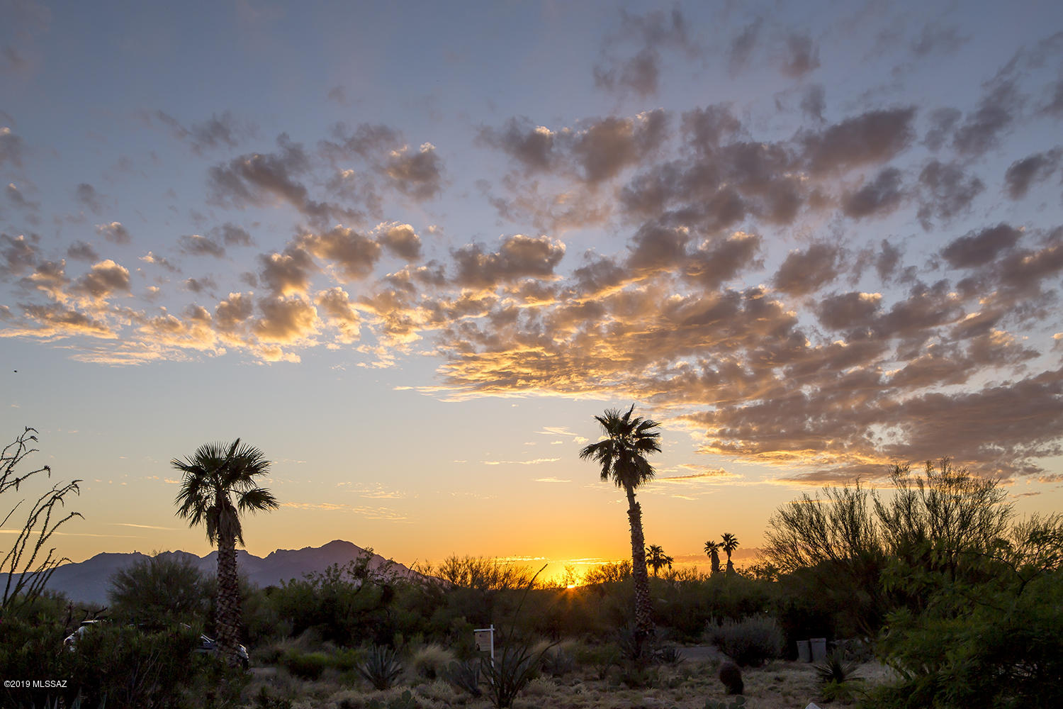 Diamond Bell Ranch Tucson Unit 9 (Lots 1-57) - Residential