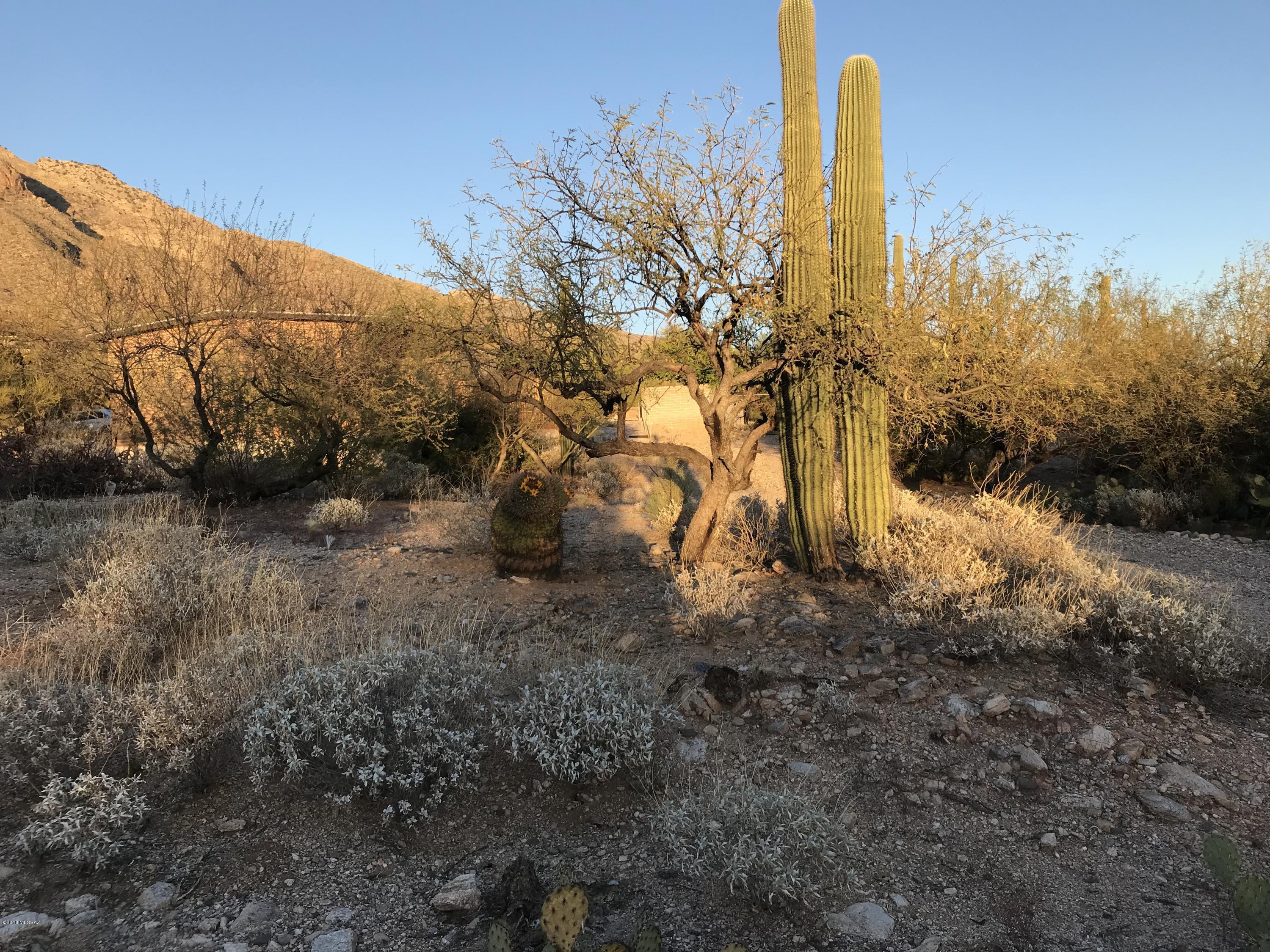 Coronado Foothills Estates - Residential