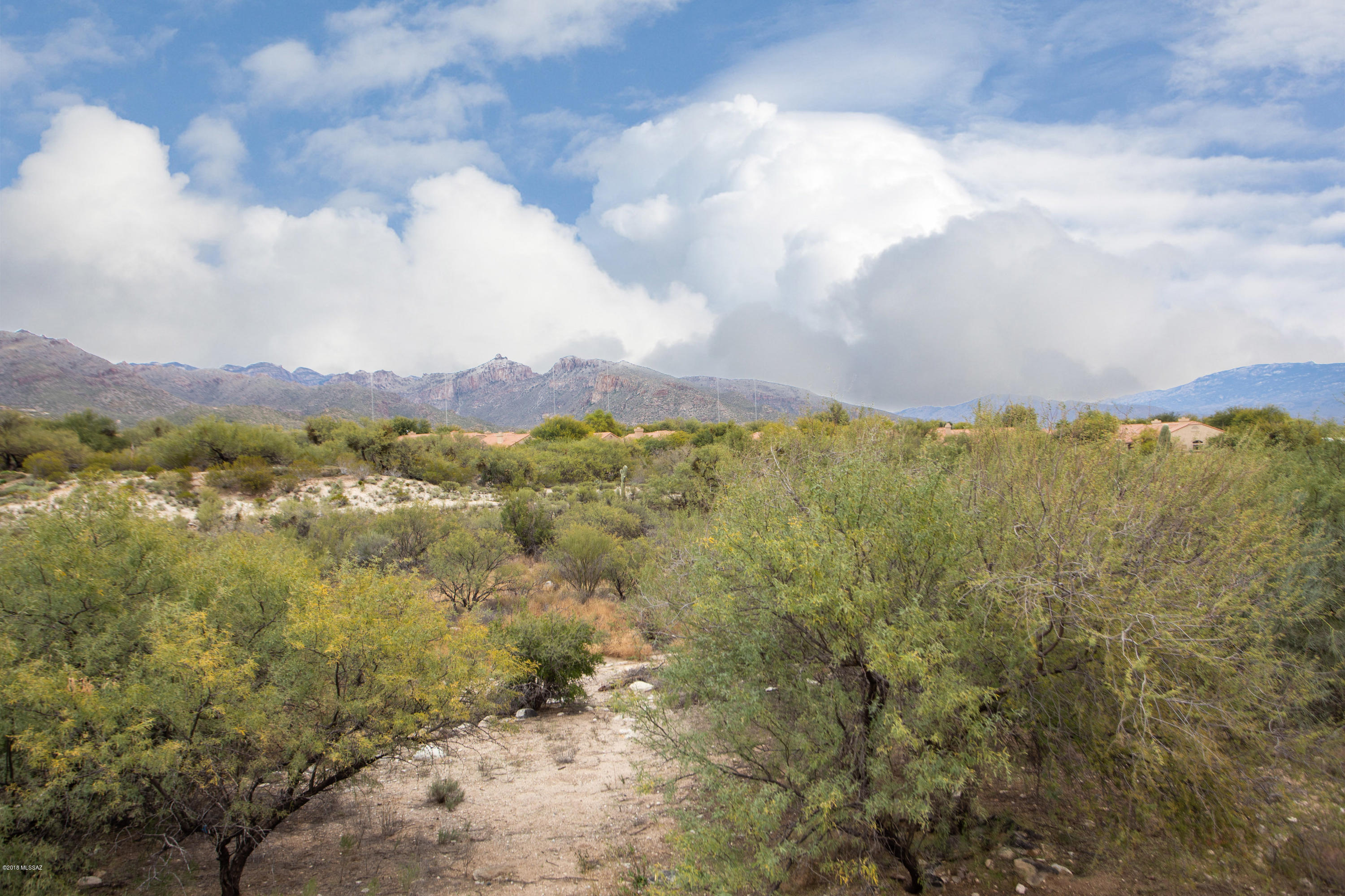 Greens at Ventana Canyon - Residential