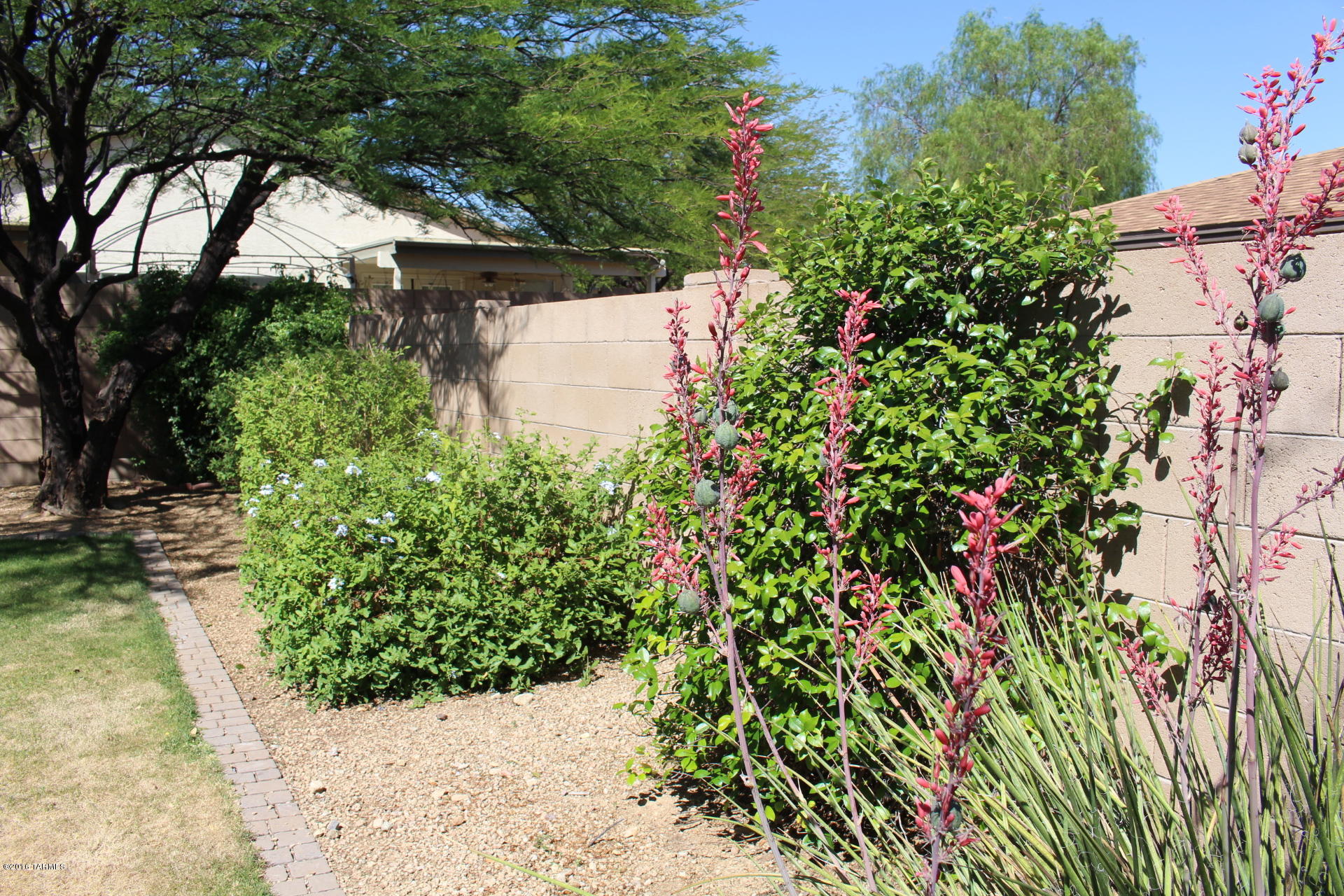 Tucson Mountain Sanctuary (1-154) - Residential