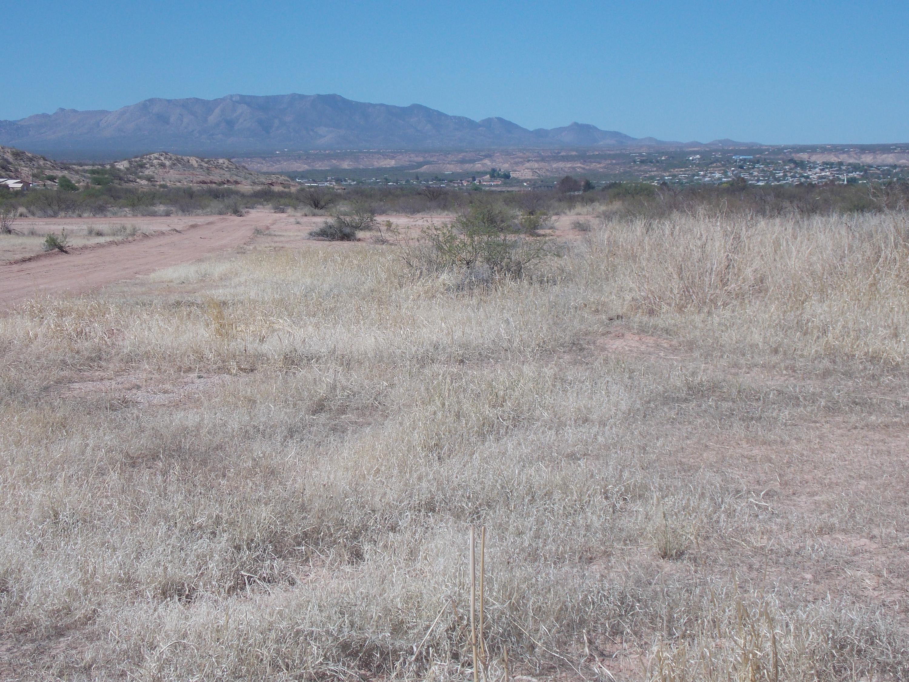 Potential Orchard or Farm Land bordered on the East and South by State Trust Land.  Five minutes off I-10.  Two new capped wells drilled in 2005.  One on the east 40(7'' casing) and one on the west 40 acre (9'' casing).   Both Three Phase and Single Phase Electric on the North Property Line.  Surveyed 2017, Completely fenced in Barbed Wired.  Great view of the San Pedro Valley, Benson and mountains.