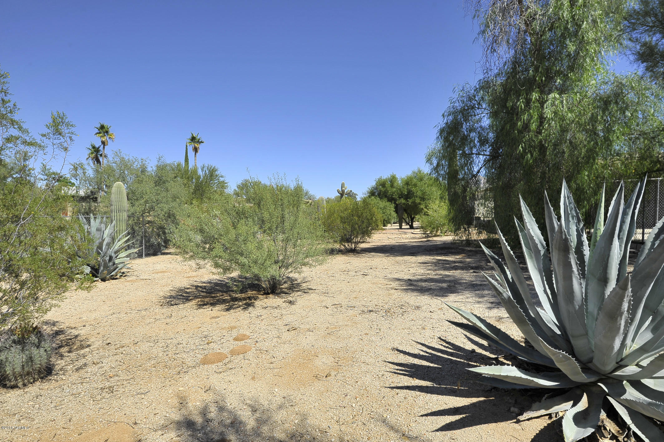 Casas Adobes West No.2 (284-438) - Residential Lease