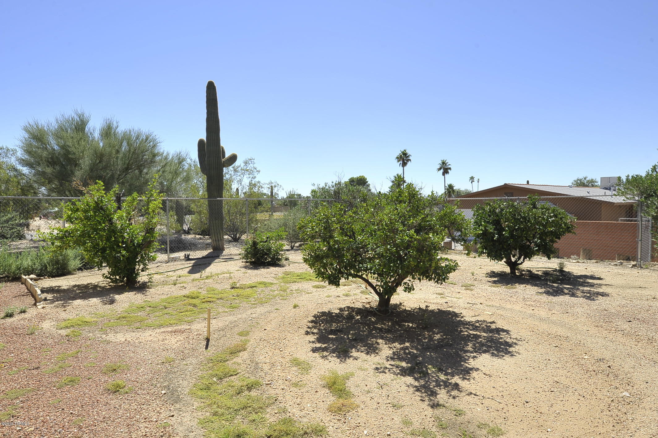 Casas Adobes West No.2 (284-438) - Residential Lease
