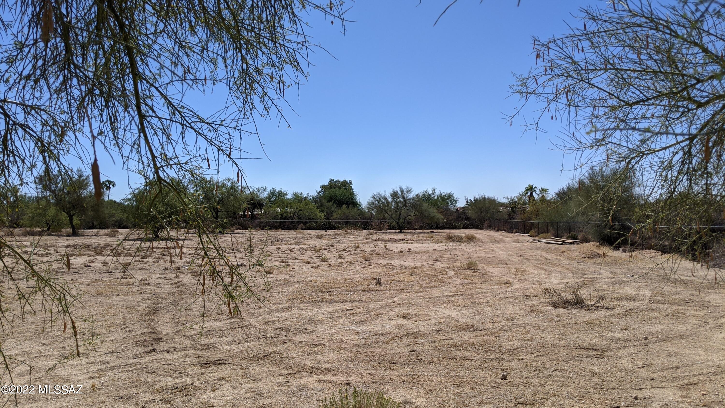 Catalina Citrus Estates - Land