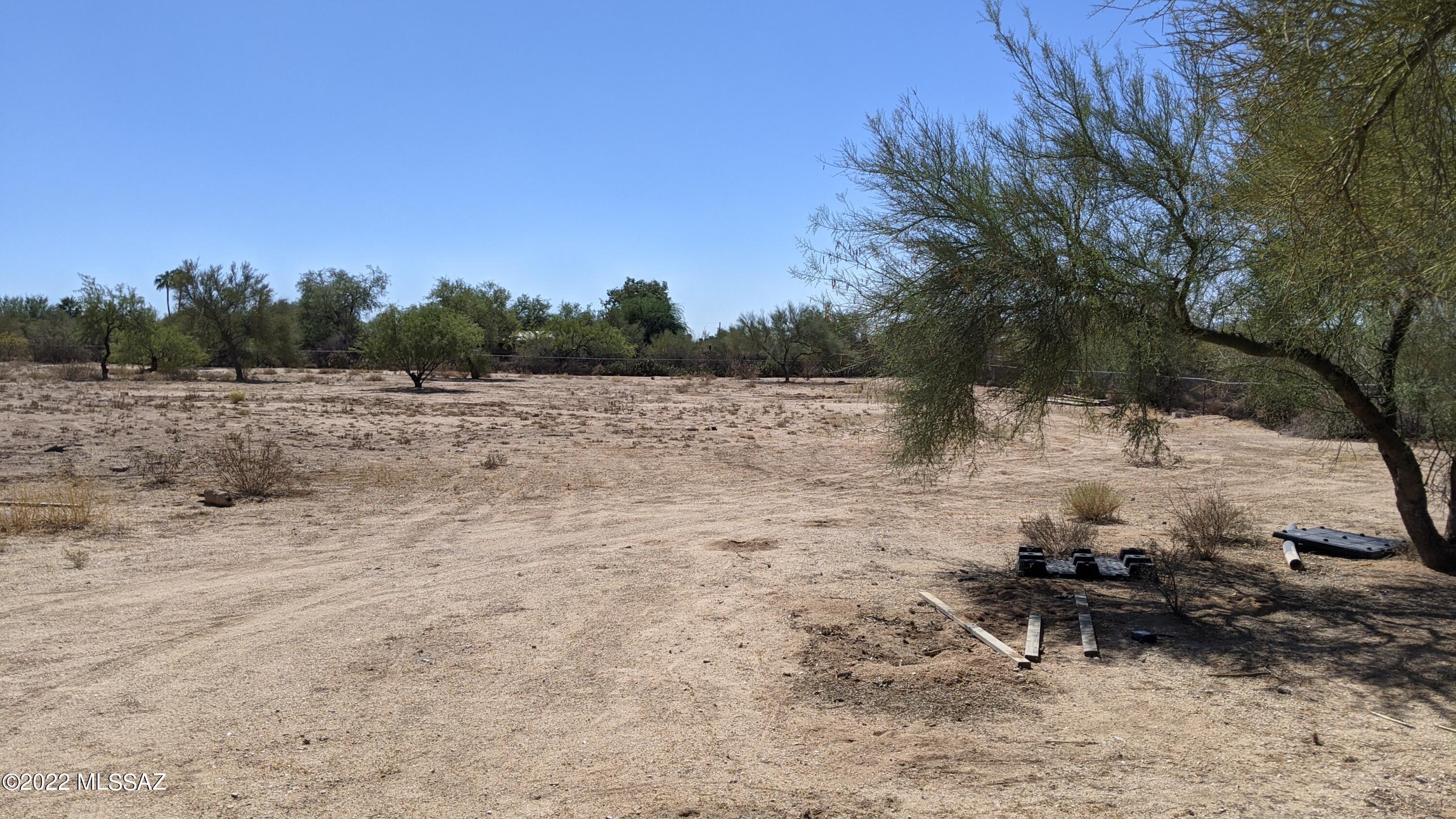 Catalina Citrus Estates - Land