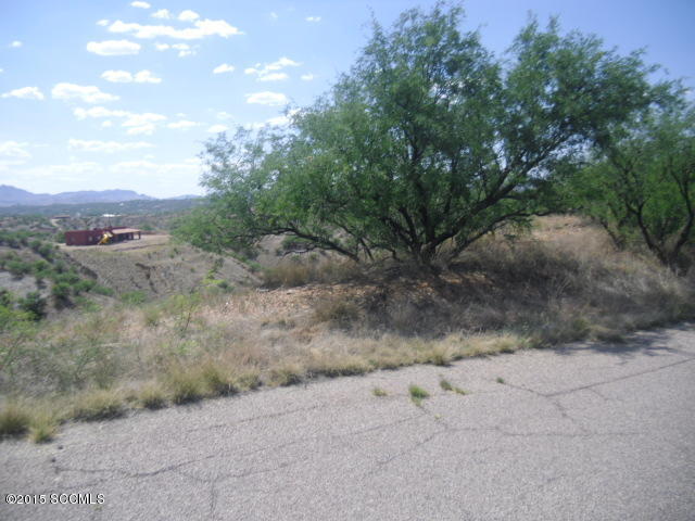 Rio Rico Estates 8 - Land