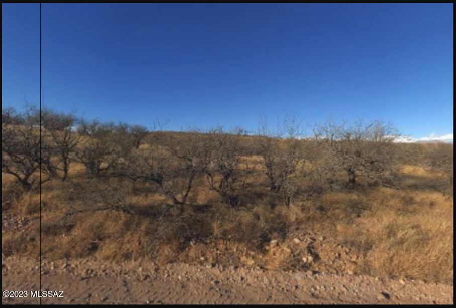 Rio Rico Ranchettes - Land