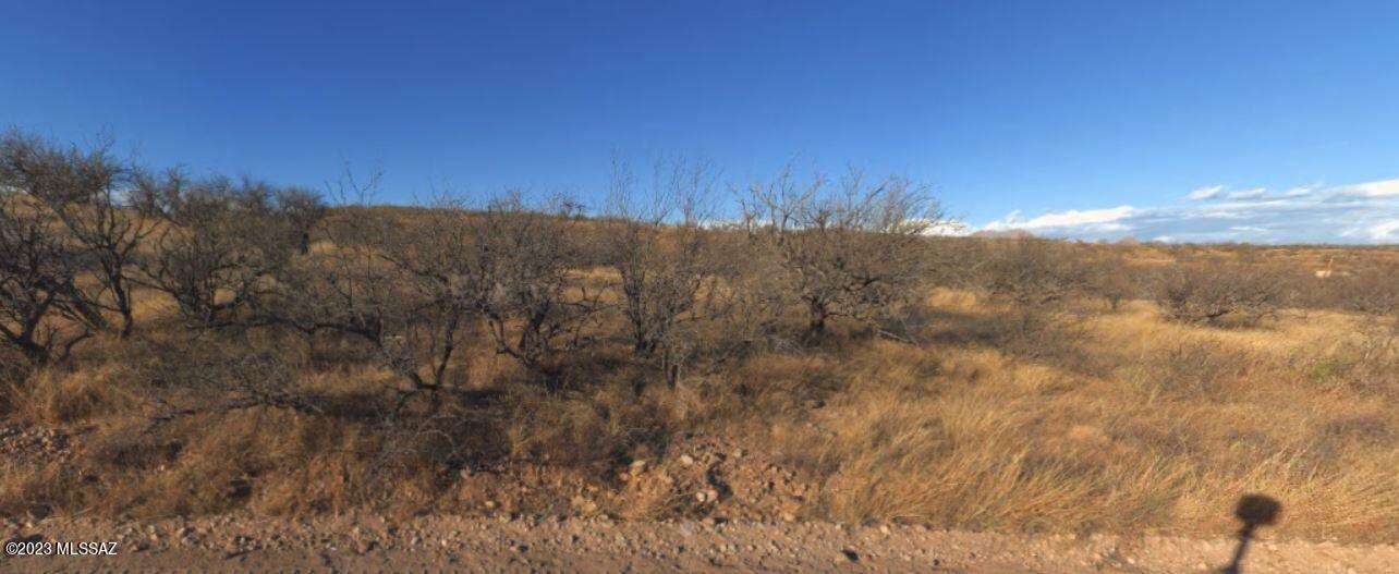 Rio Rico Ranchettes - Land