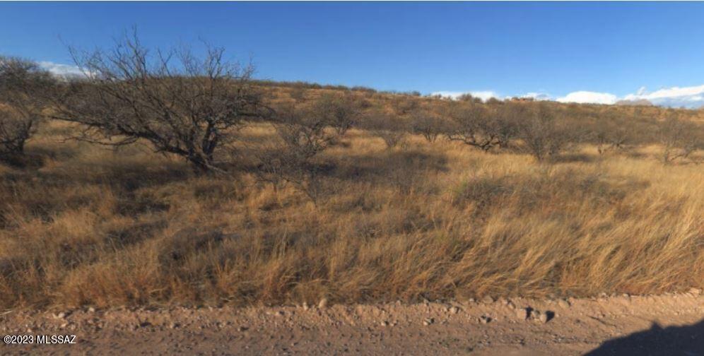 Enjoy the beautiful Rio Rico desert and choose your views with road frontage on two sides (Via Visalia & Ave Septiembre). This property sits on a gentle ridge keeping it high and dry. Inquire for more information and to get the best deals in Rio Rico. Boundaries drawn on photos are approximate.