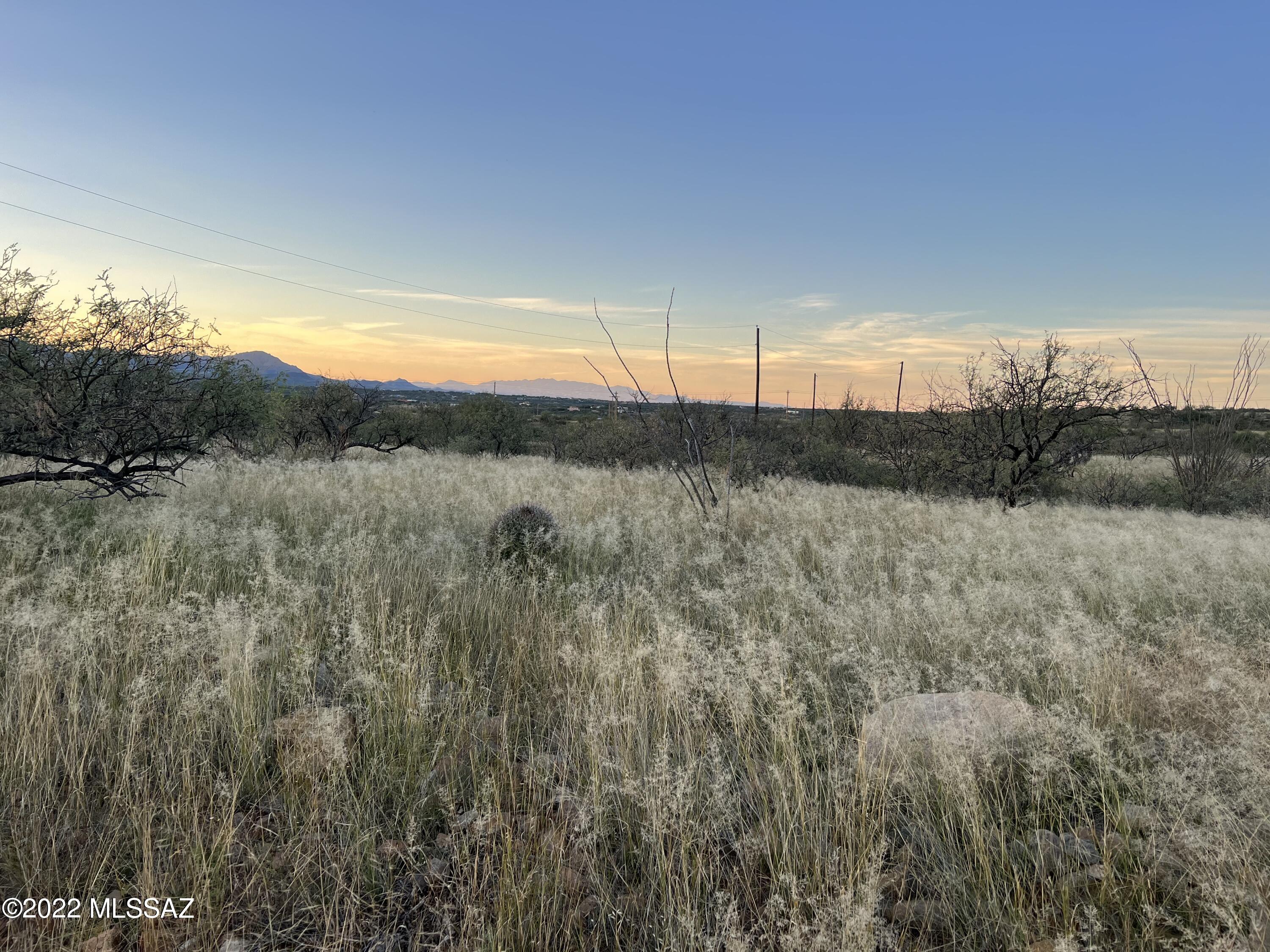 Rio Rico Ranchettes - Land