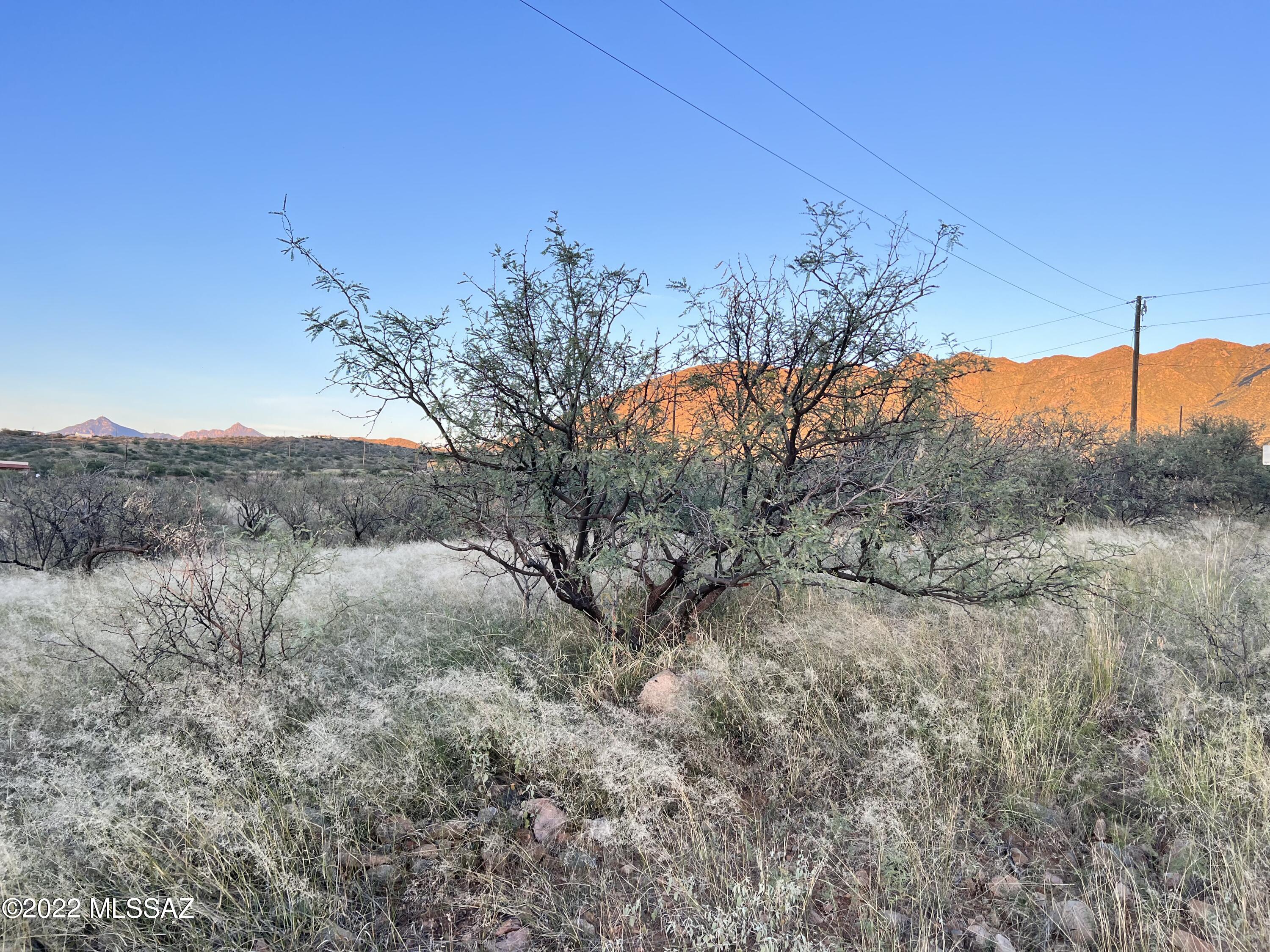 Rio Rico Ranchettes - Land