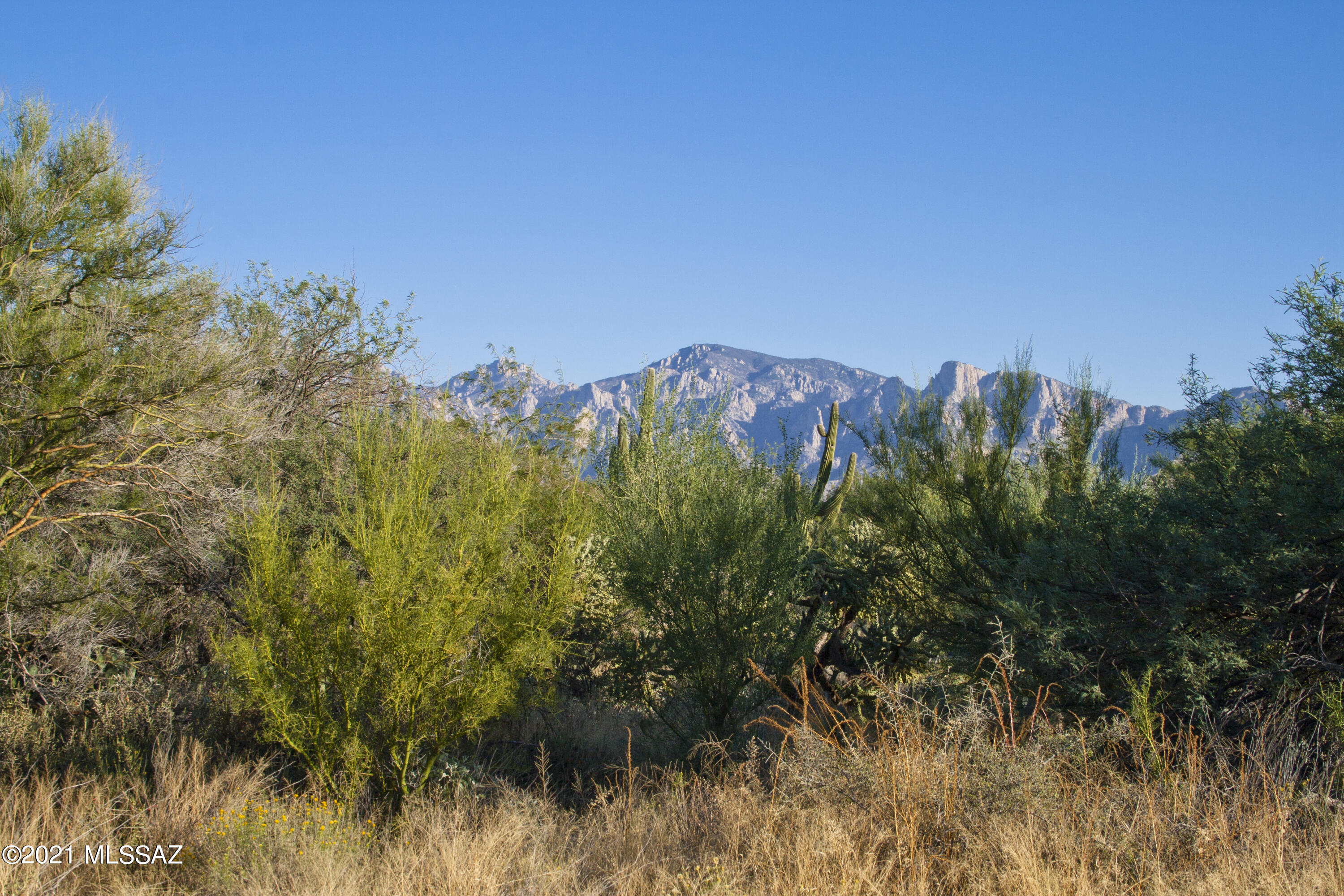 Stone Canyon I - Land
