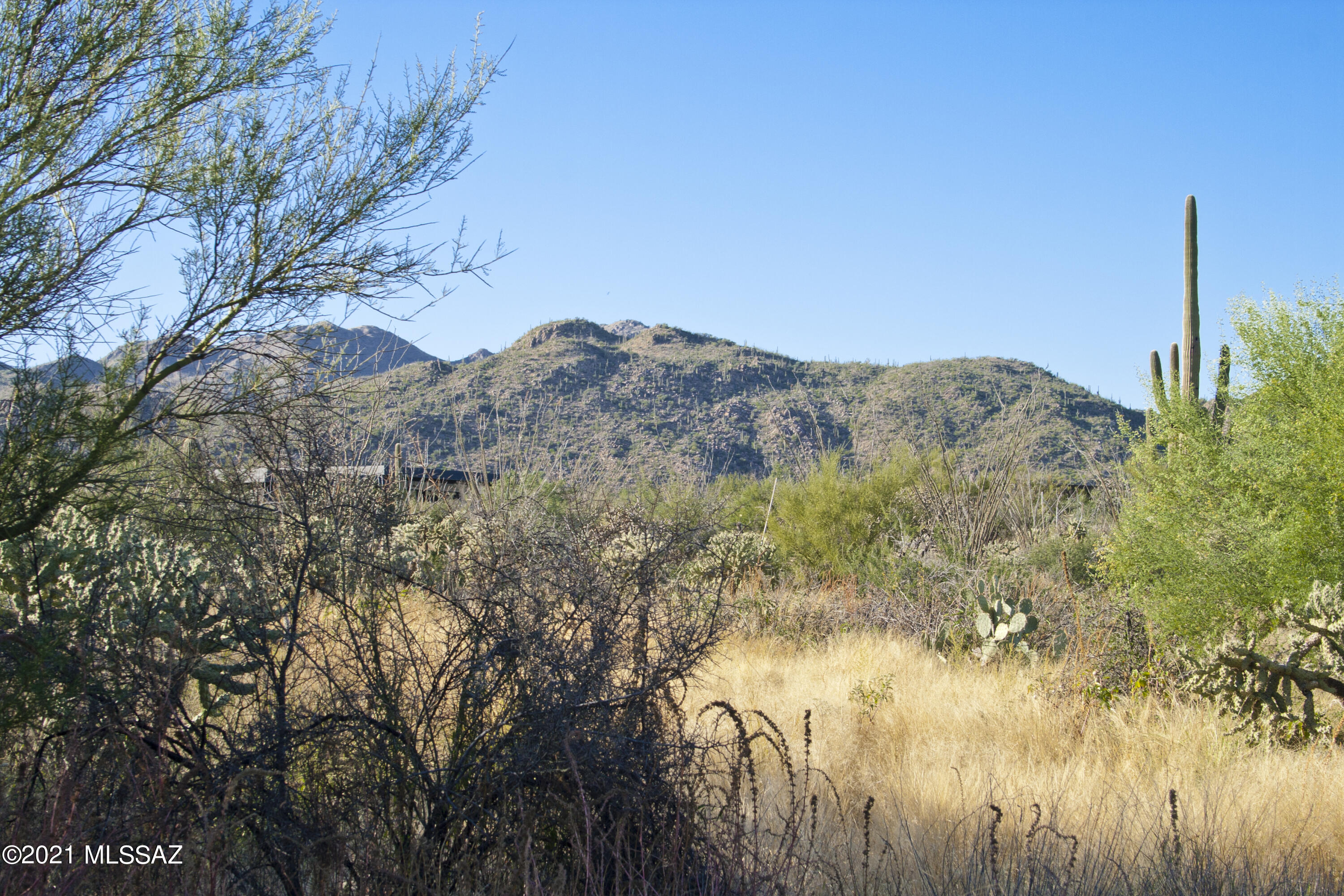 Stone Canyon I - Land