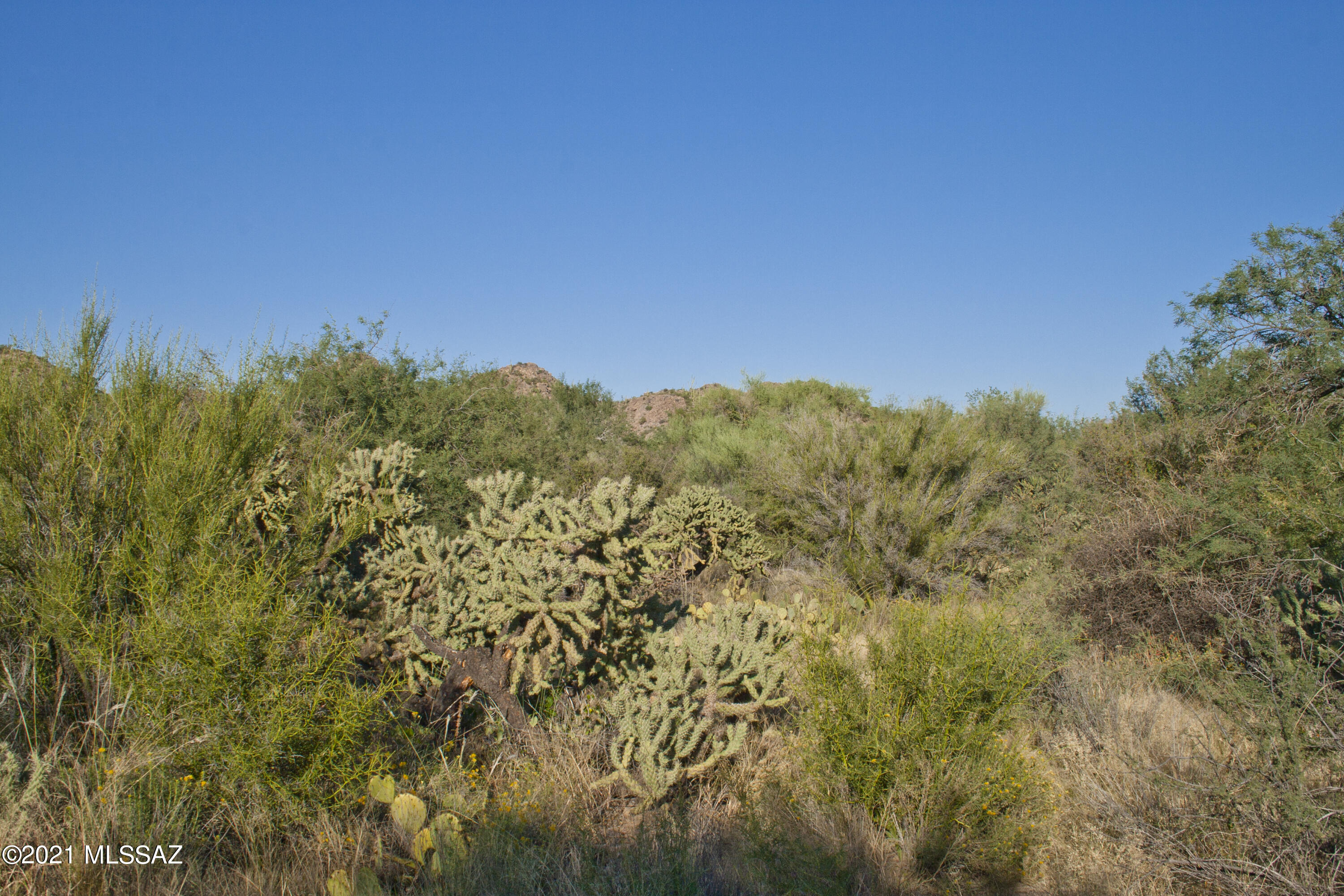 Stone Canyon I - Land