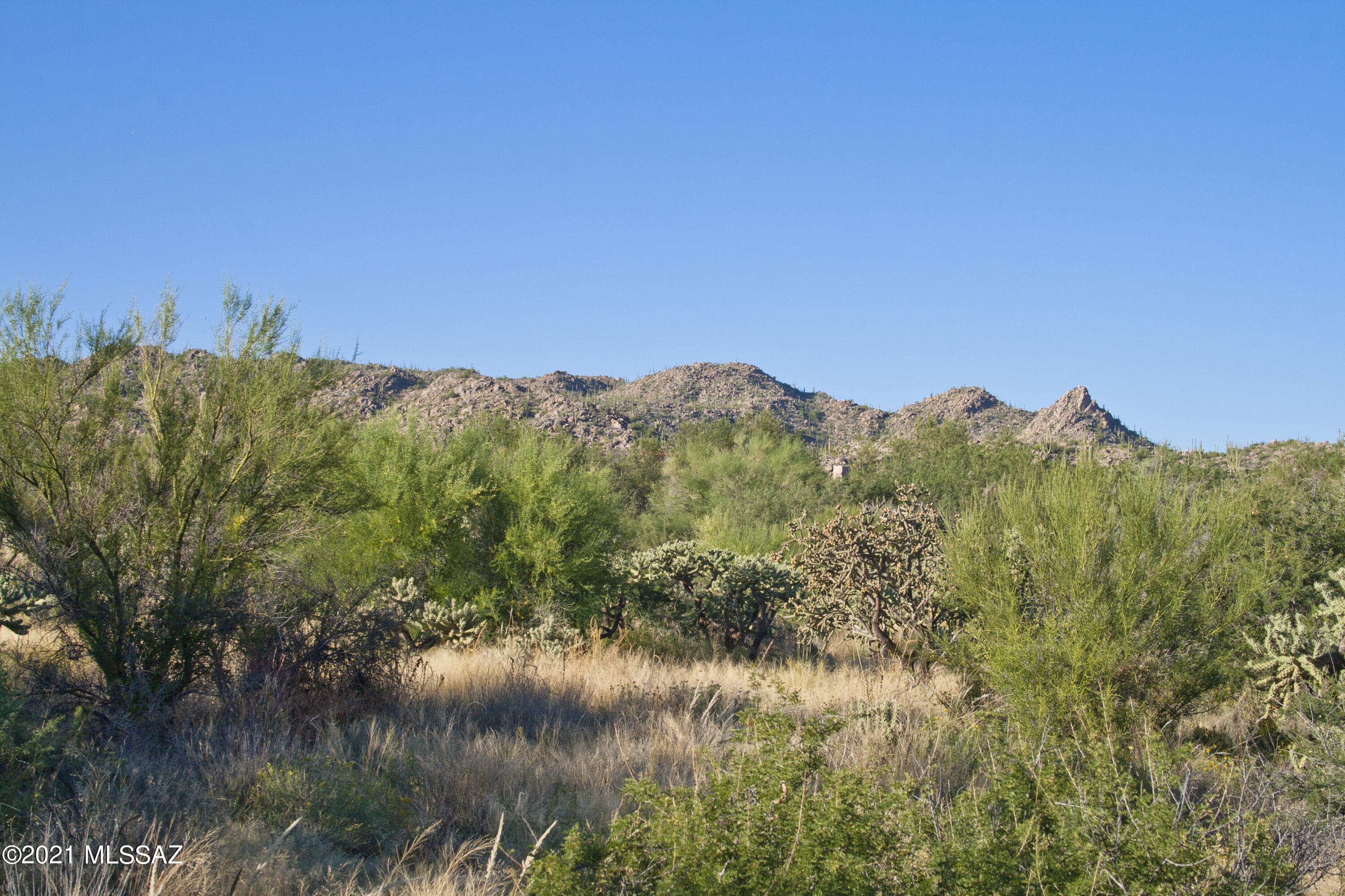 Stone Canyon I - Land