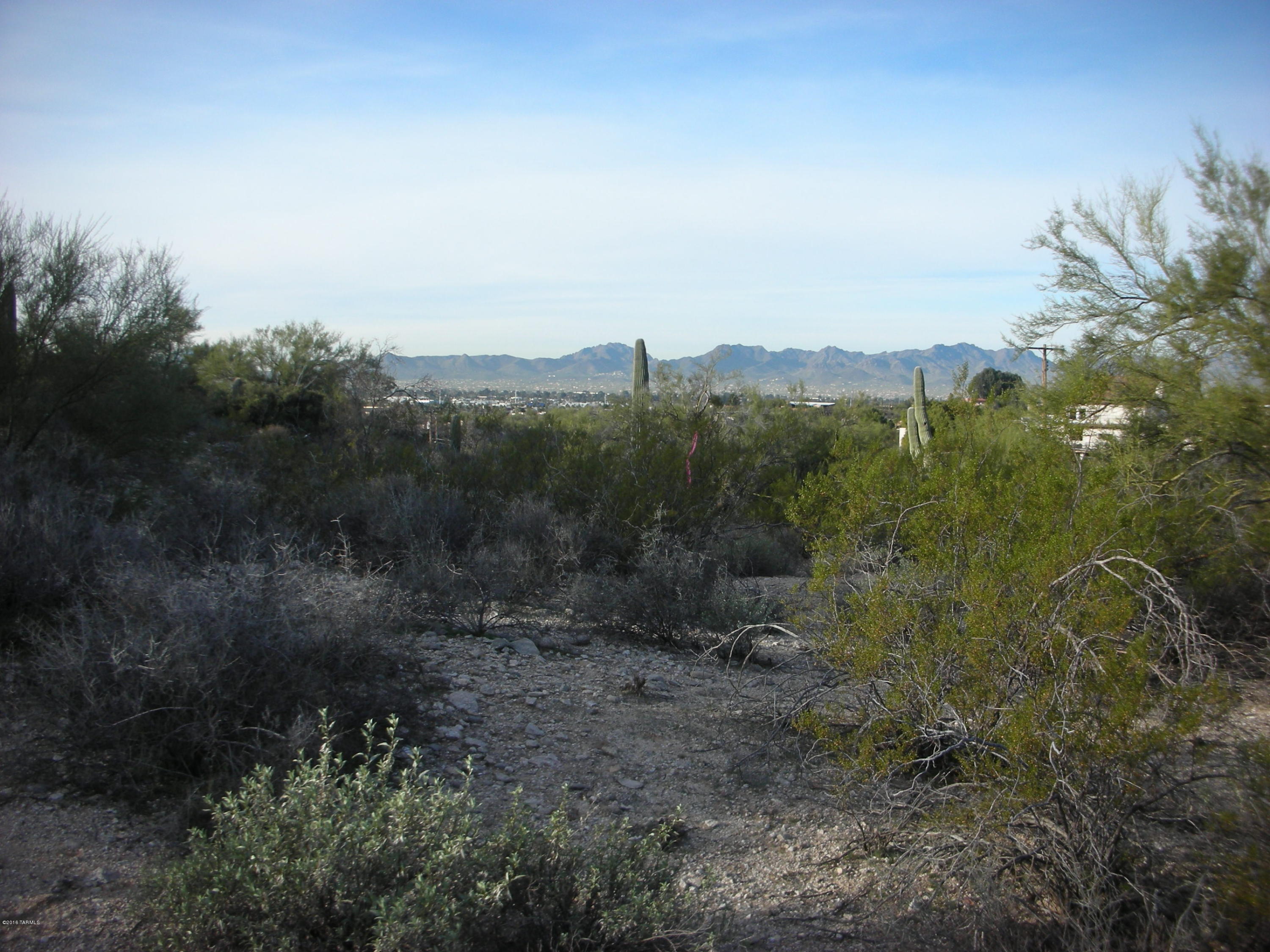 Oracle Foothills Estates NO. 7 (301-383) - Land