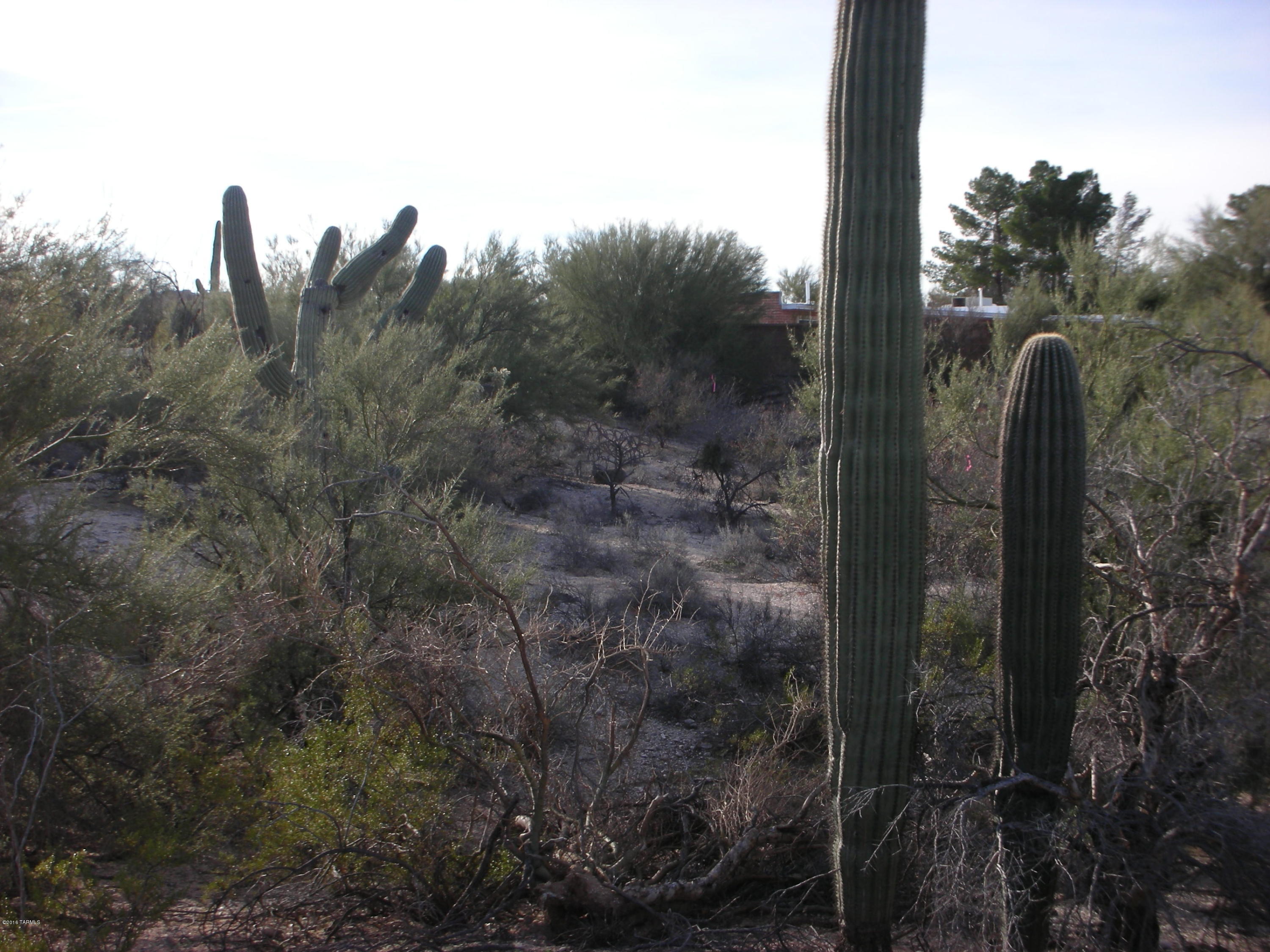 Oracle Foothills Estates NO. 7 (301-383) - Land