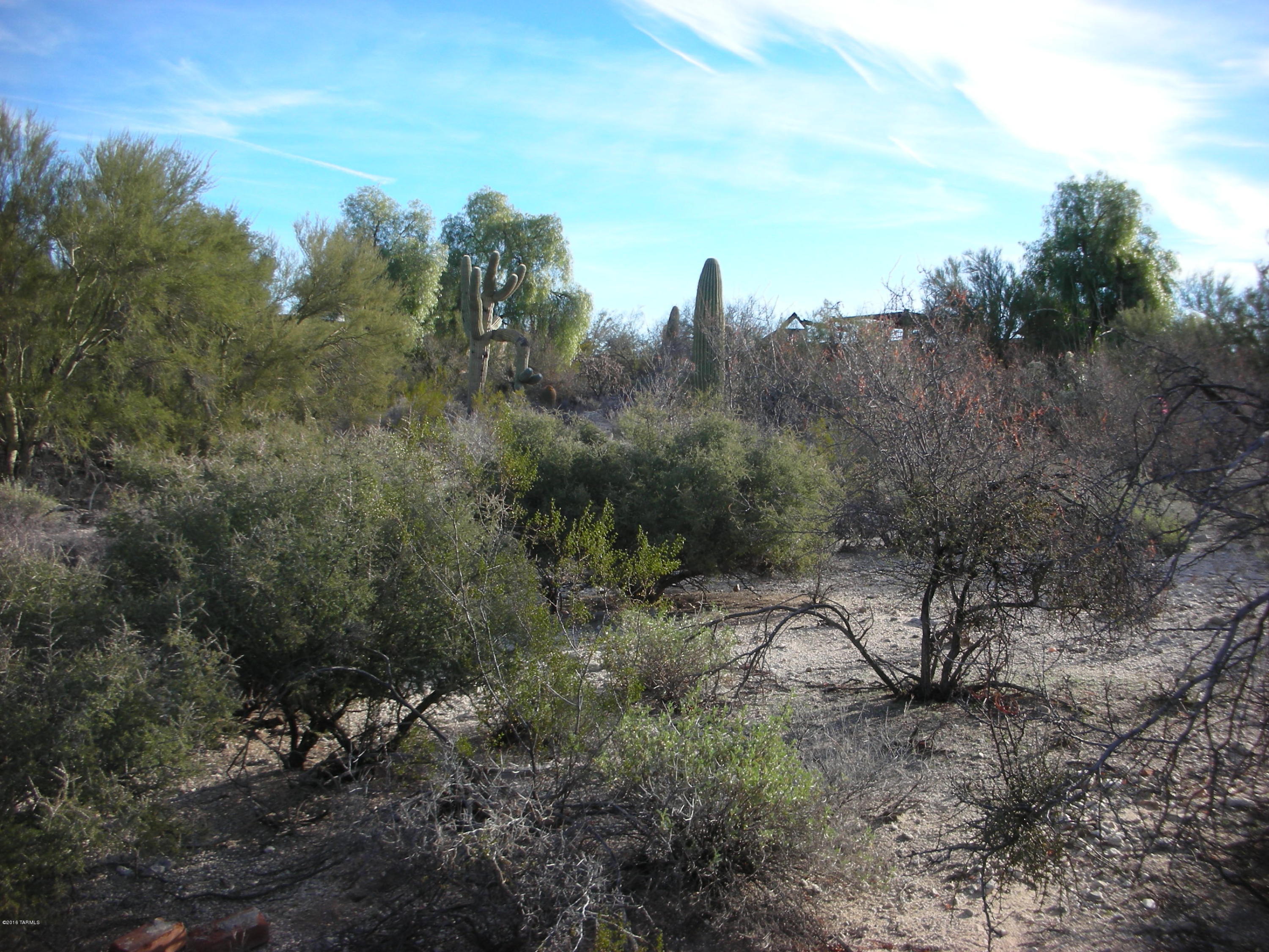 Oracle Foothills Estates NO. 7 (301-383) - Land