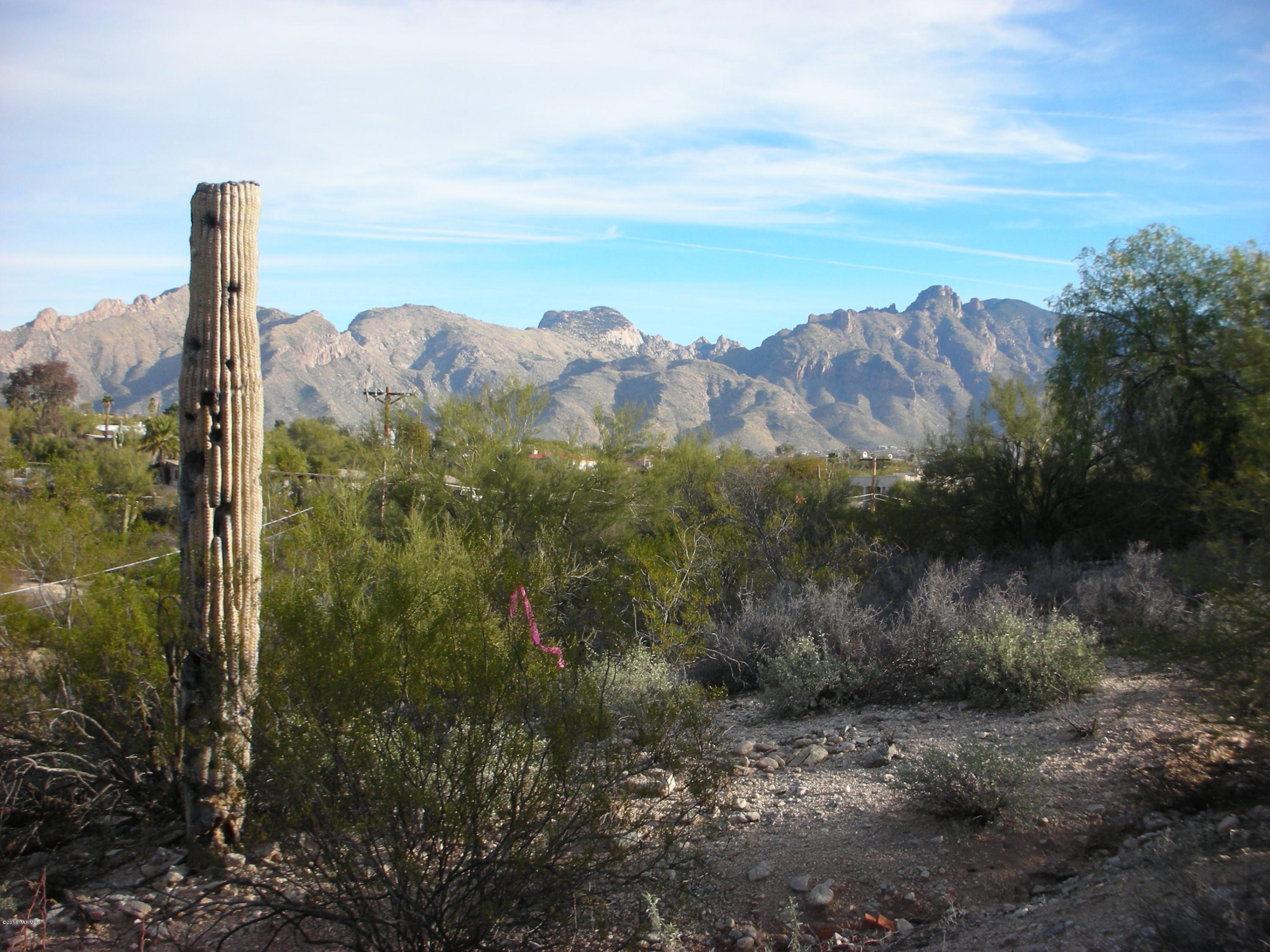 Oracle Foothills Estates NO. 7 (301-383) - Land