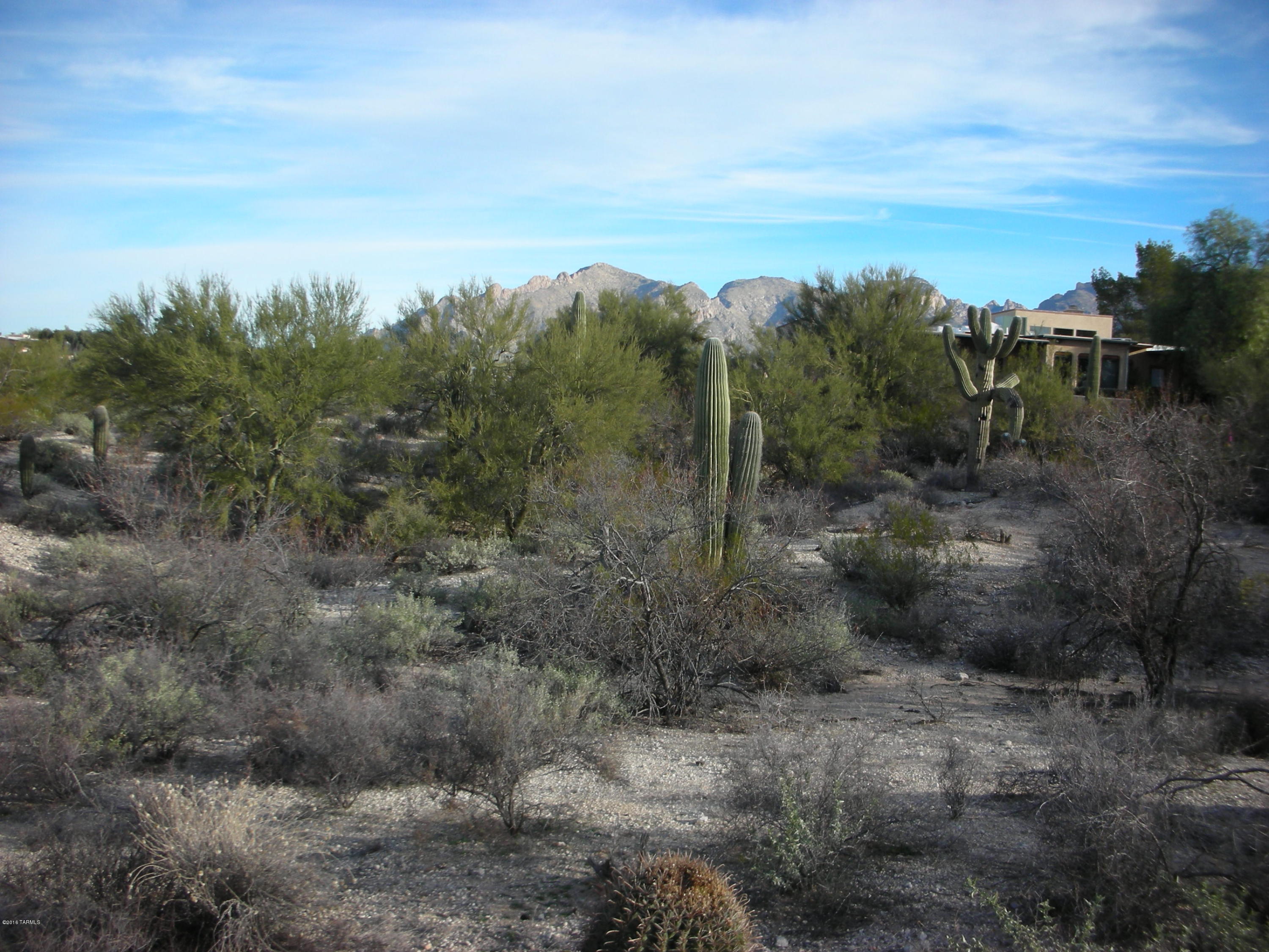 Oracle Foothills Estates NO. 7 (301-383) - Land