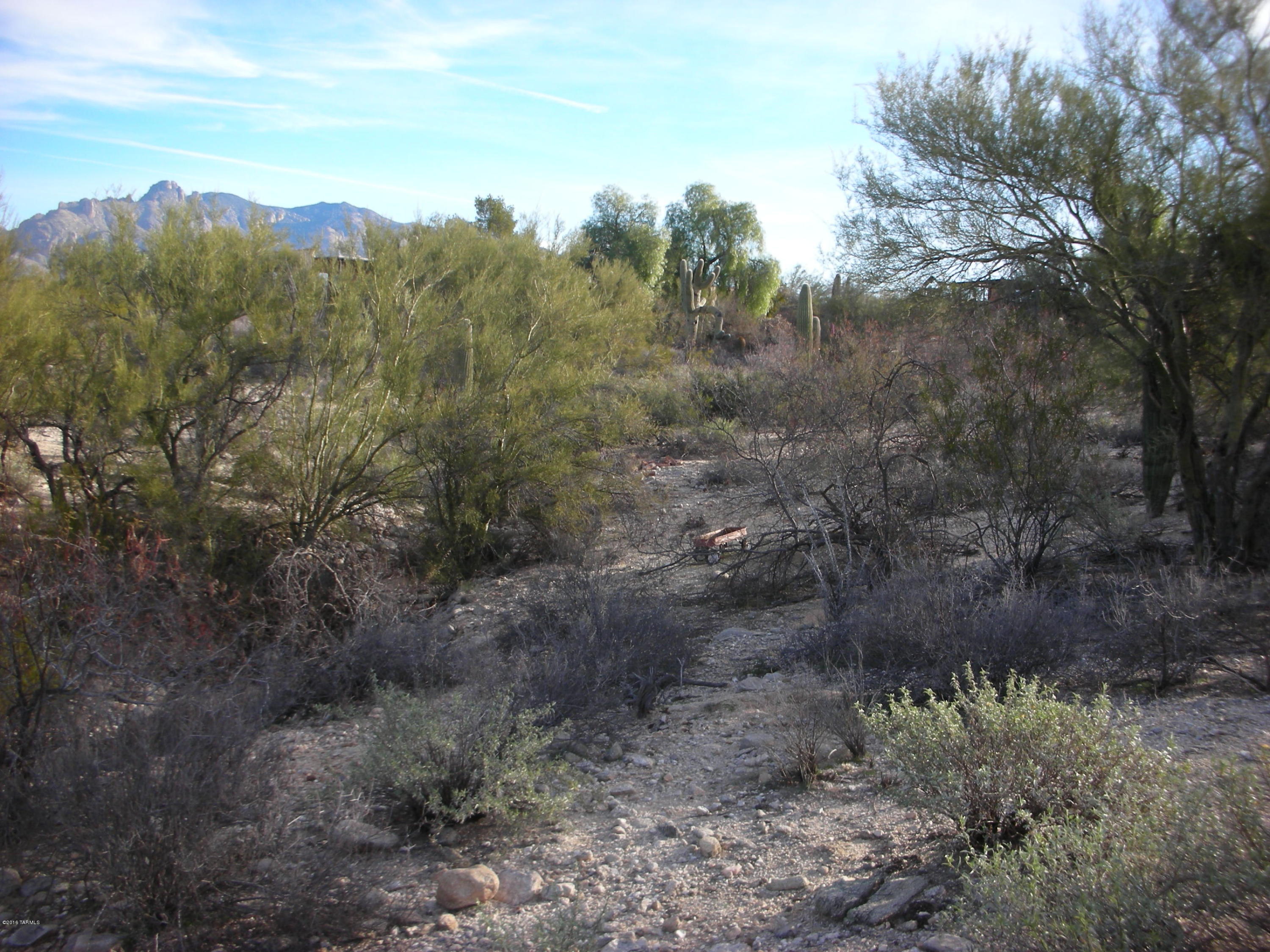 Oracle Foothills Estates NO. 7 (301-383) - Land