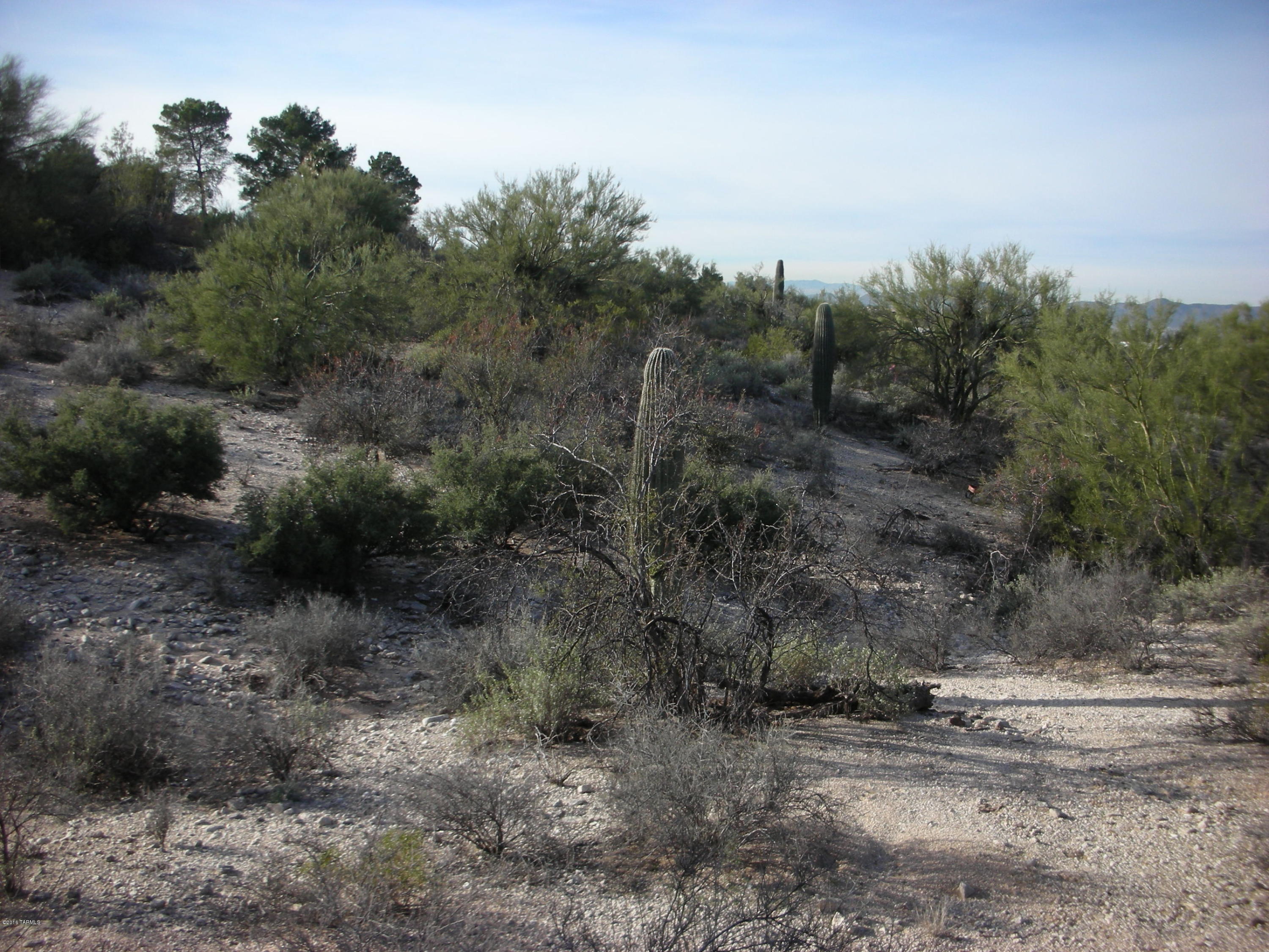 Oracle Foothills Estates NO. 7 (301-383) - Land