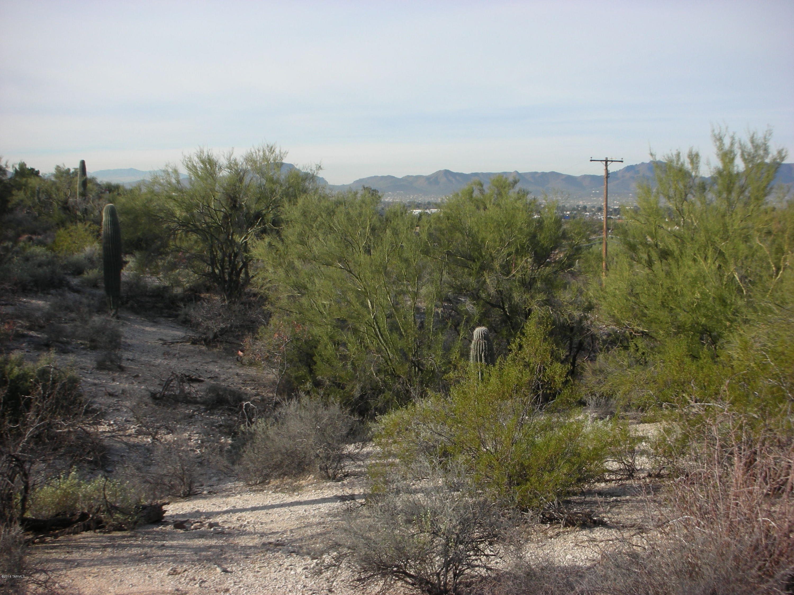 Oracle Foothills Estates NO. 7 (301-383) - Land