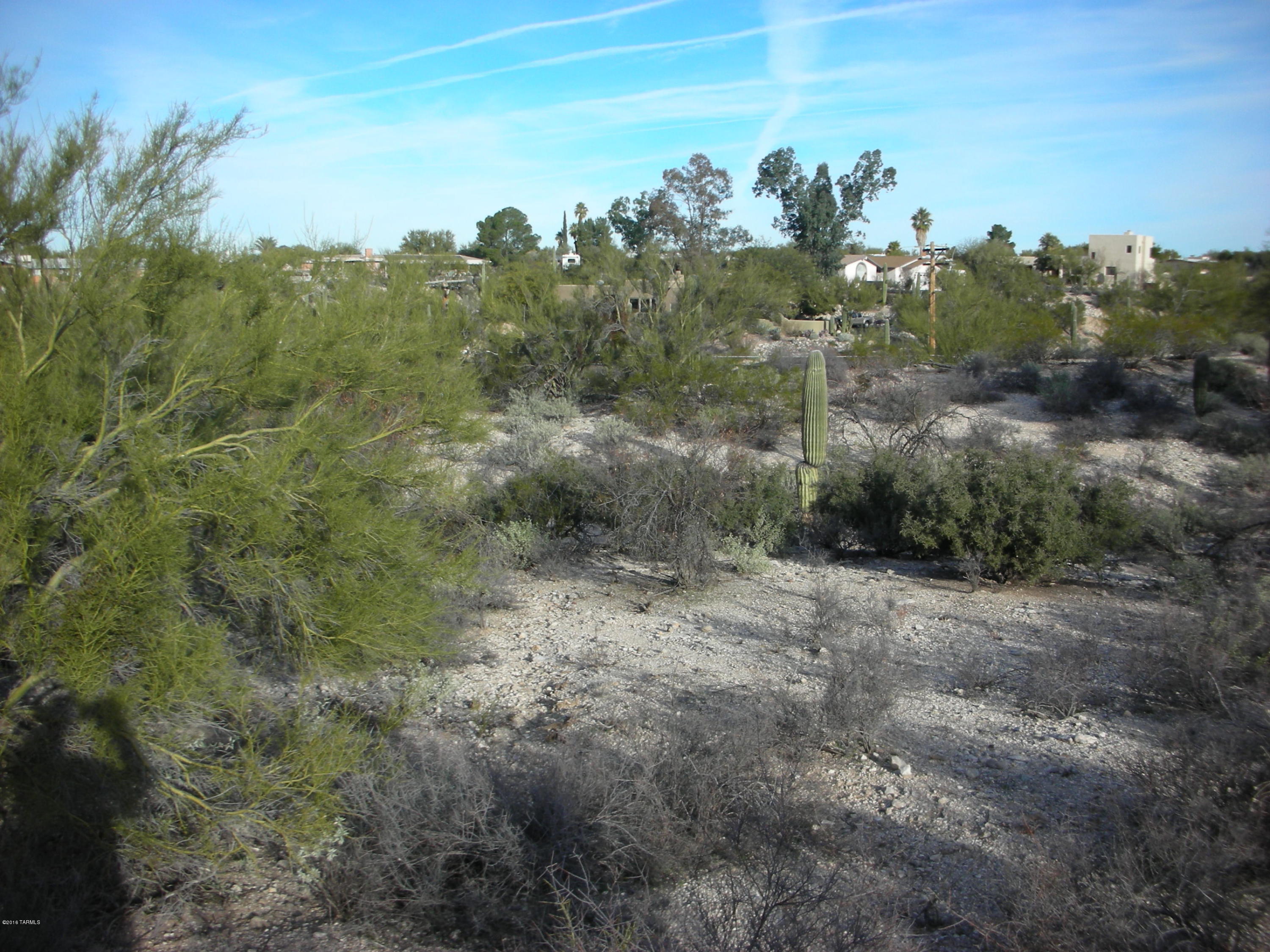 Oracle Foothills Estates NO. 7 (301-383) - Land