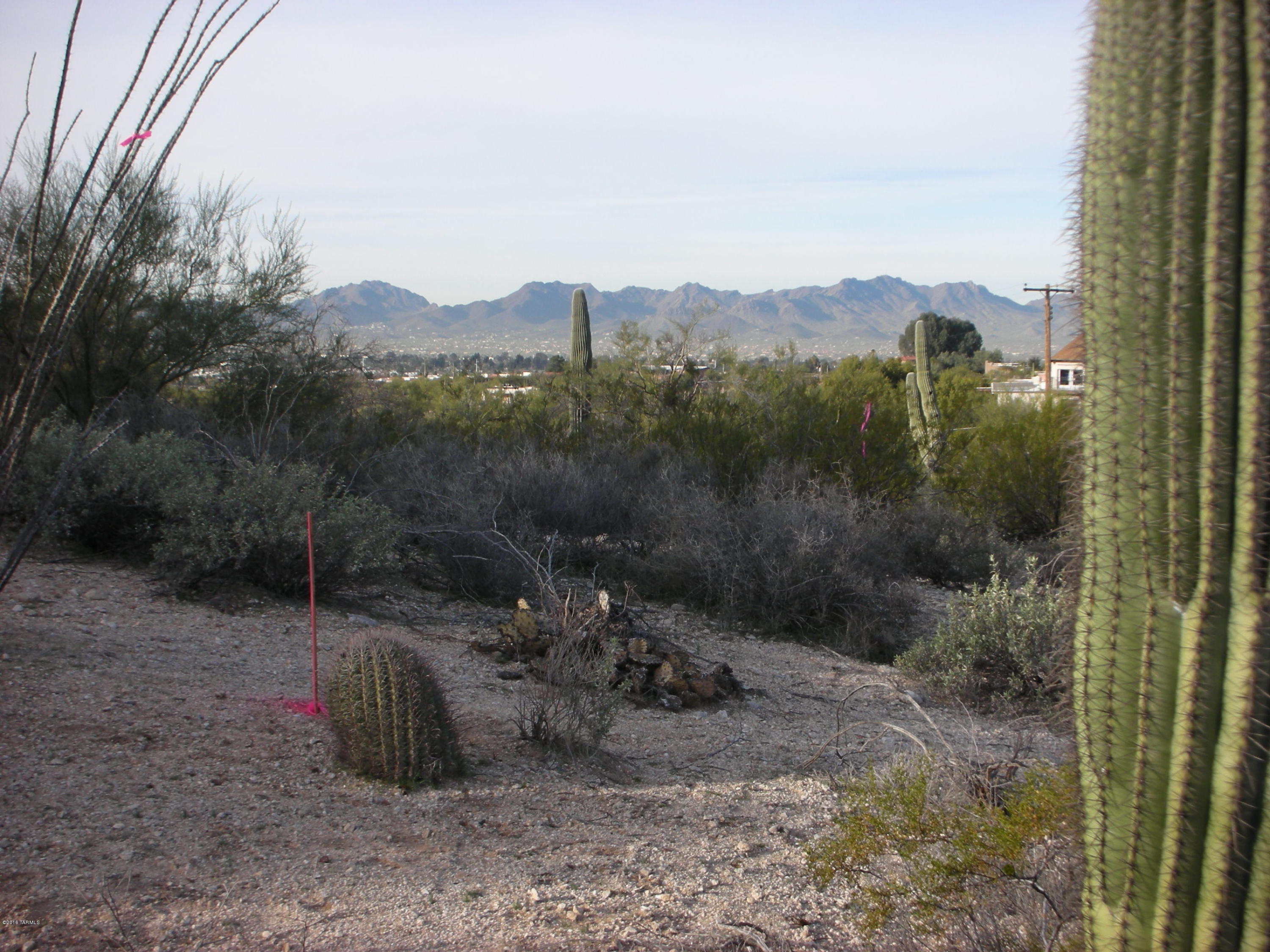 You can't see this one from the street. Walk the flagged driveway to FALL IN LOVE with a BIG, PRIVATE and QUIET BUILDING AREA featuring PANORAMIC CATALINA and TUCSON MOUNTAIN VIEWS. You'll love the SUNSETS and twinkling NIGHT LIGHTS too. Beautiful SAGUAROS, OCOTILLOS and BARRELS dot the rolling, lushly vegetated buildable area. Surrounding Homes are built in this VERY CONVENIENT, Close to everything location.UTILITIES in the street, incl. SEWER and Amphitheater Schools. ALL this at a GREAT PRICE!